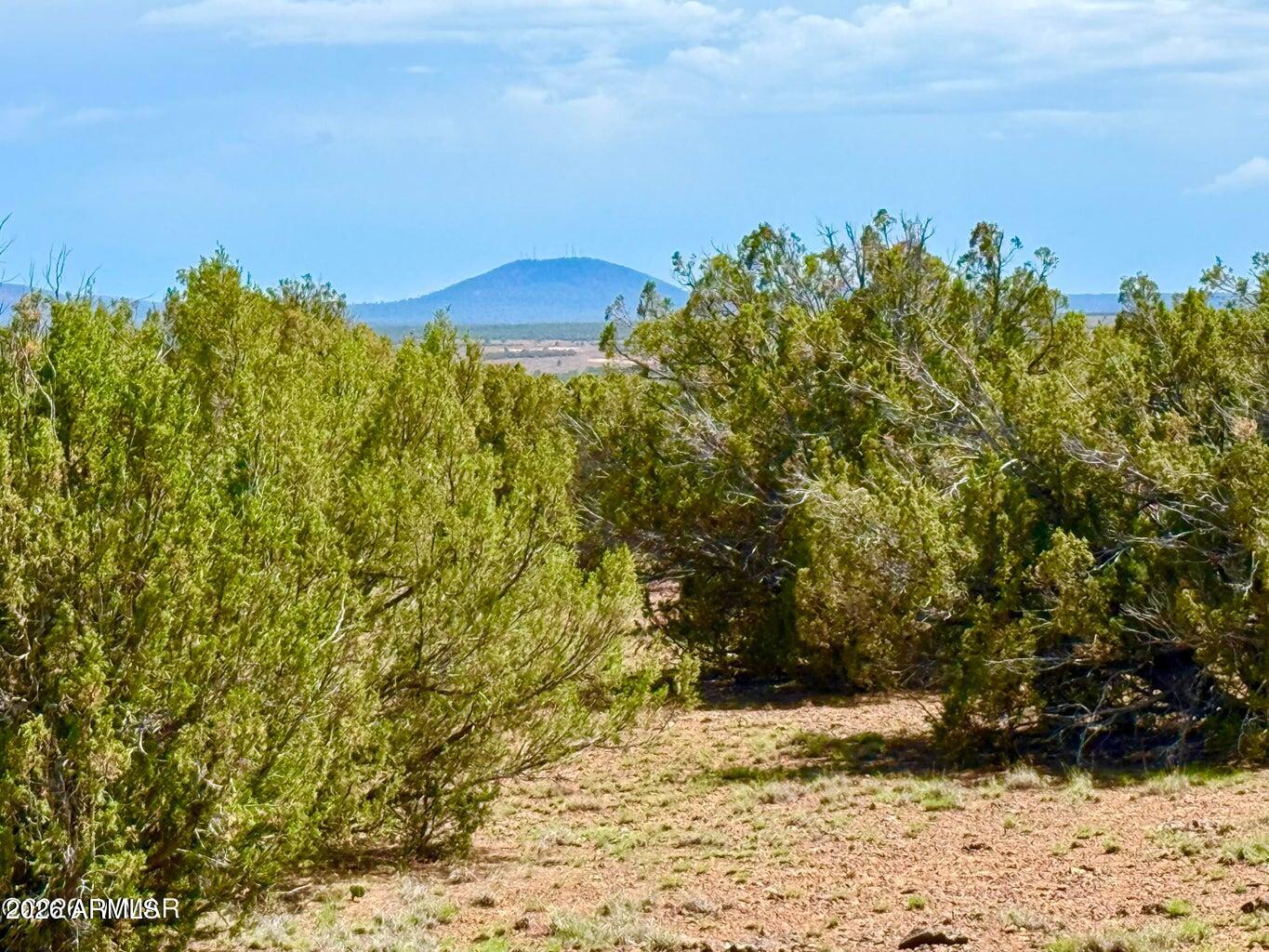 0 Gample Ln 13 Acres (Lot C) -, Show Low, AZ 85901