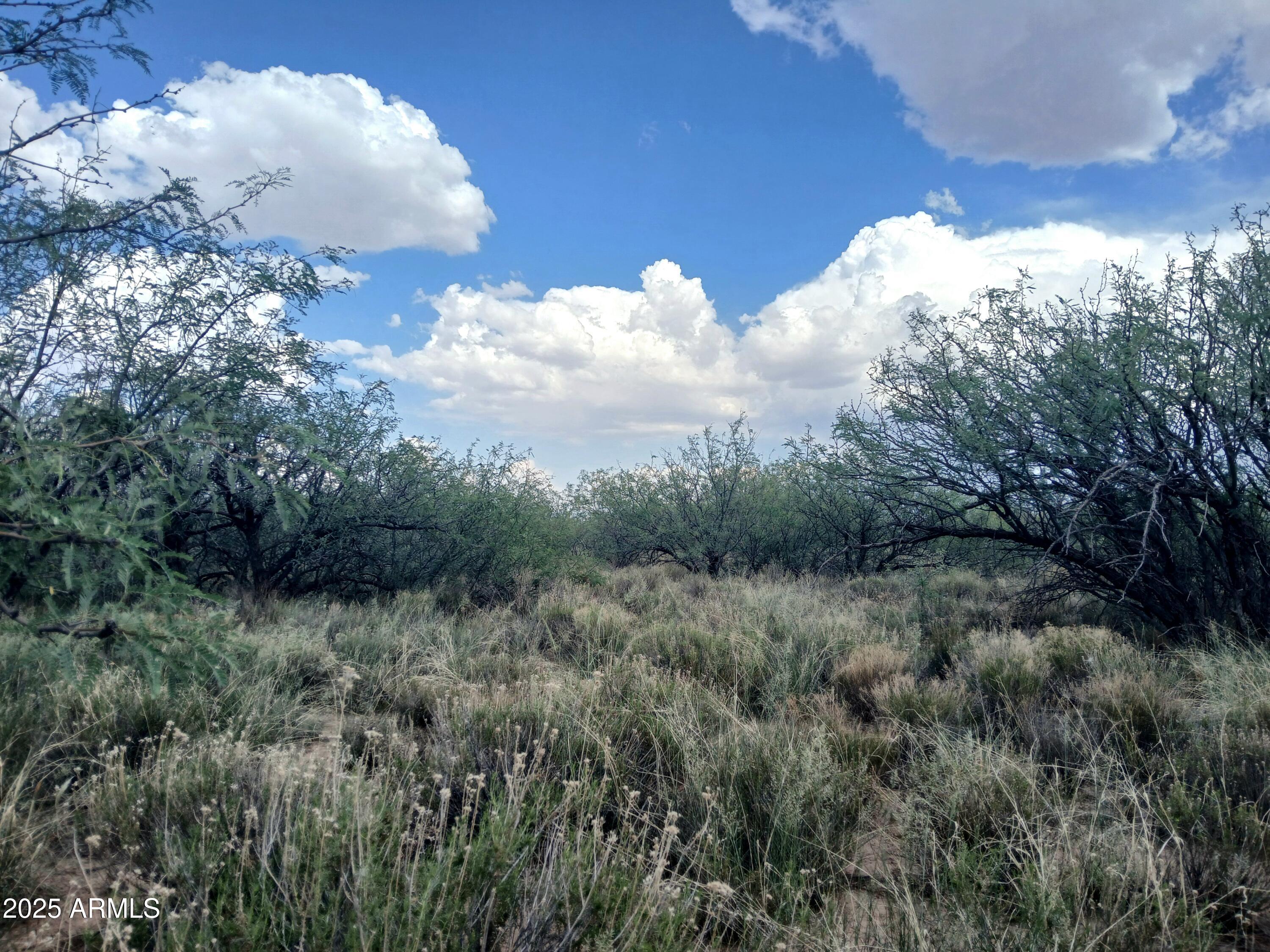 TBD W Dreamcatcher Way -, Cochise, AZ 85606