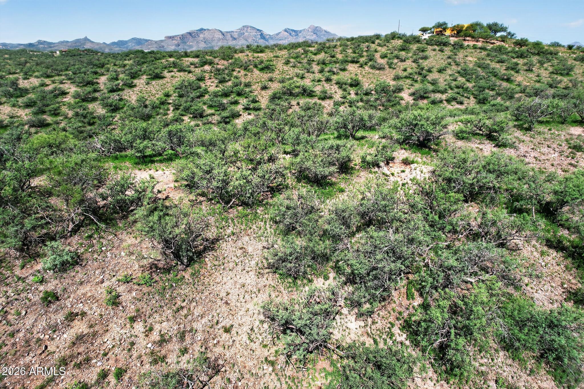 967 CALLE CARMONA 23, Rio Rico, AZ 85648