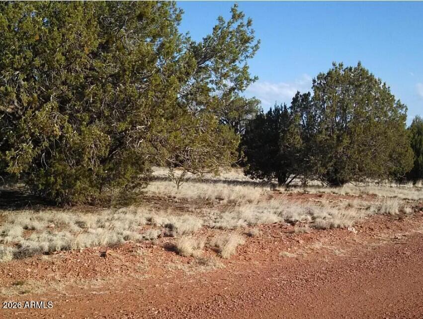 625 Mystery Lane -, Seligman, AZ 86337