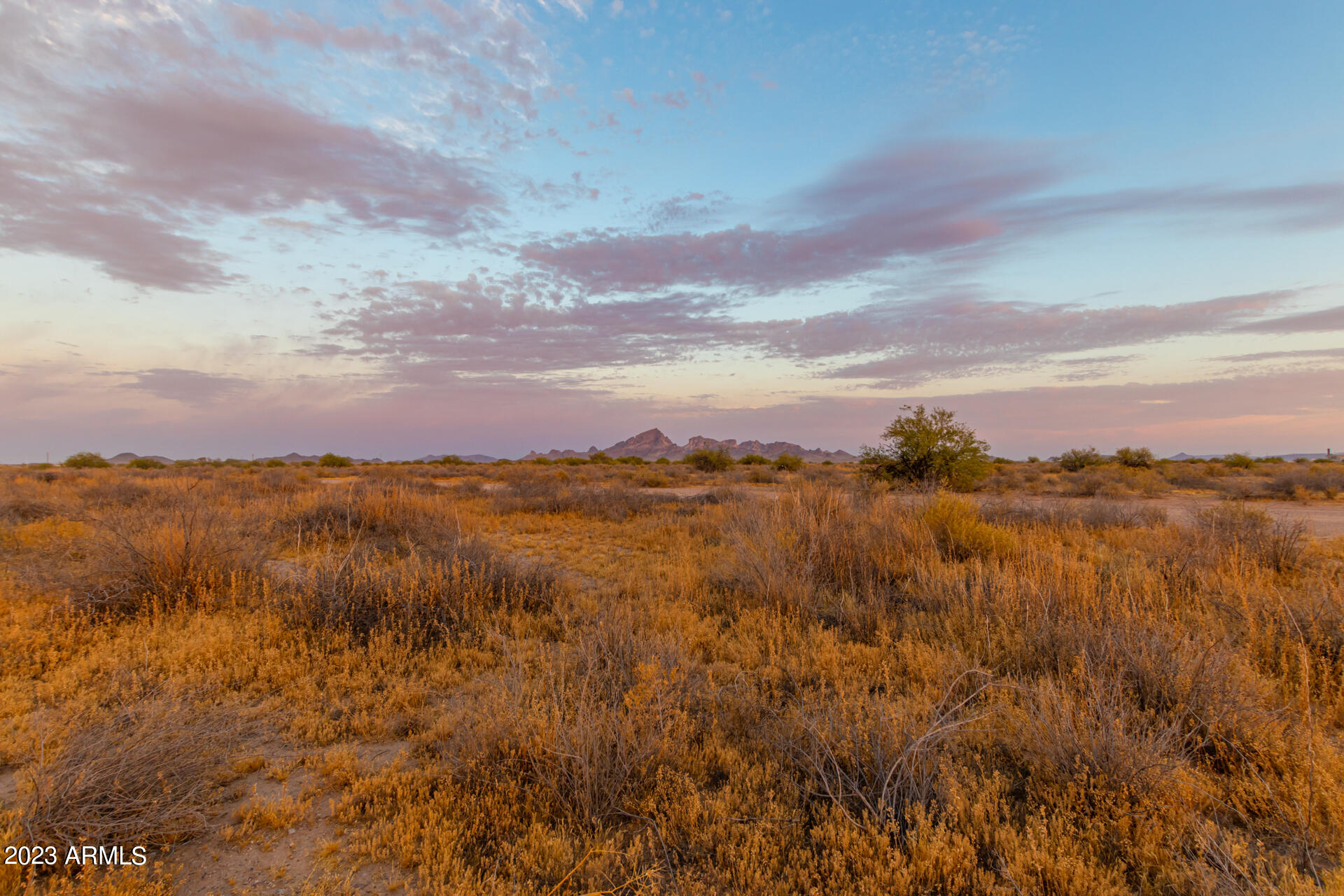 490 W LOTUS Lane 29, Tonopah, AZ 85354