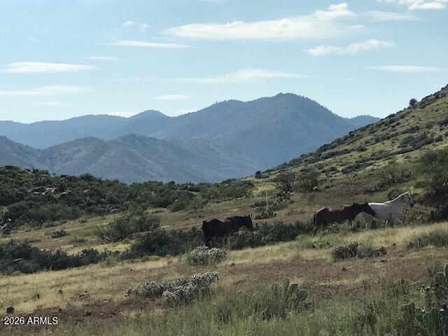 --- Miners Pick Road 4, Mayer, AZ 86333