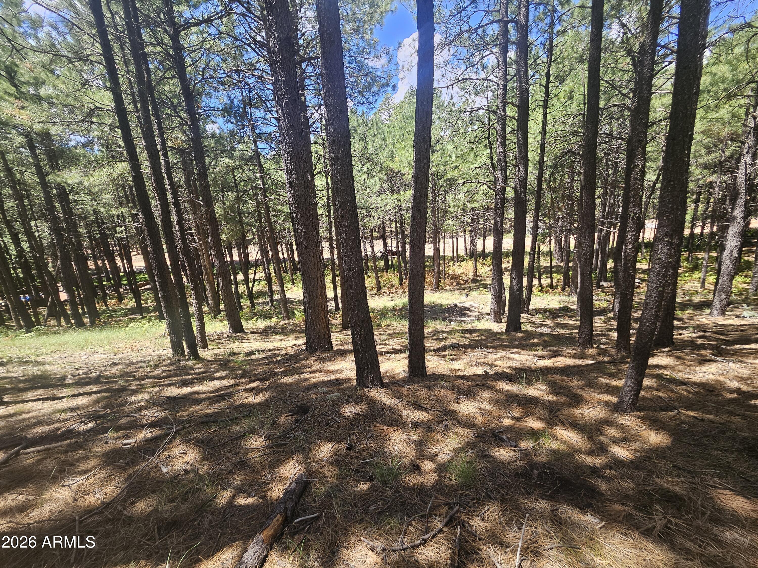 589 TROUT SPRINGS Road 71, Forest Lakes, AZ 85931