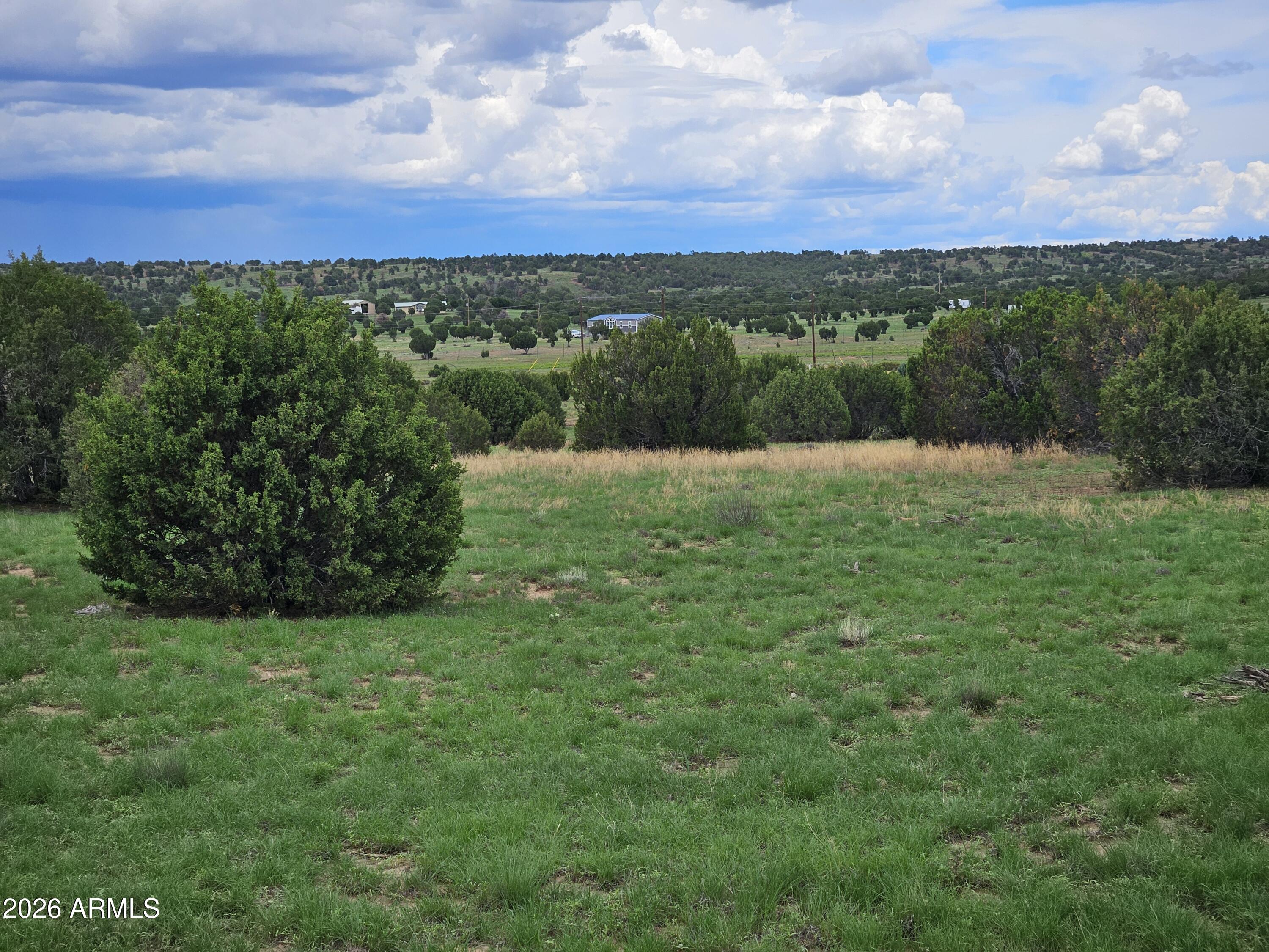 TBD Birdwing Lane -, Clay Springs, AZ 85923