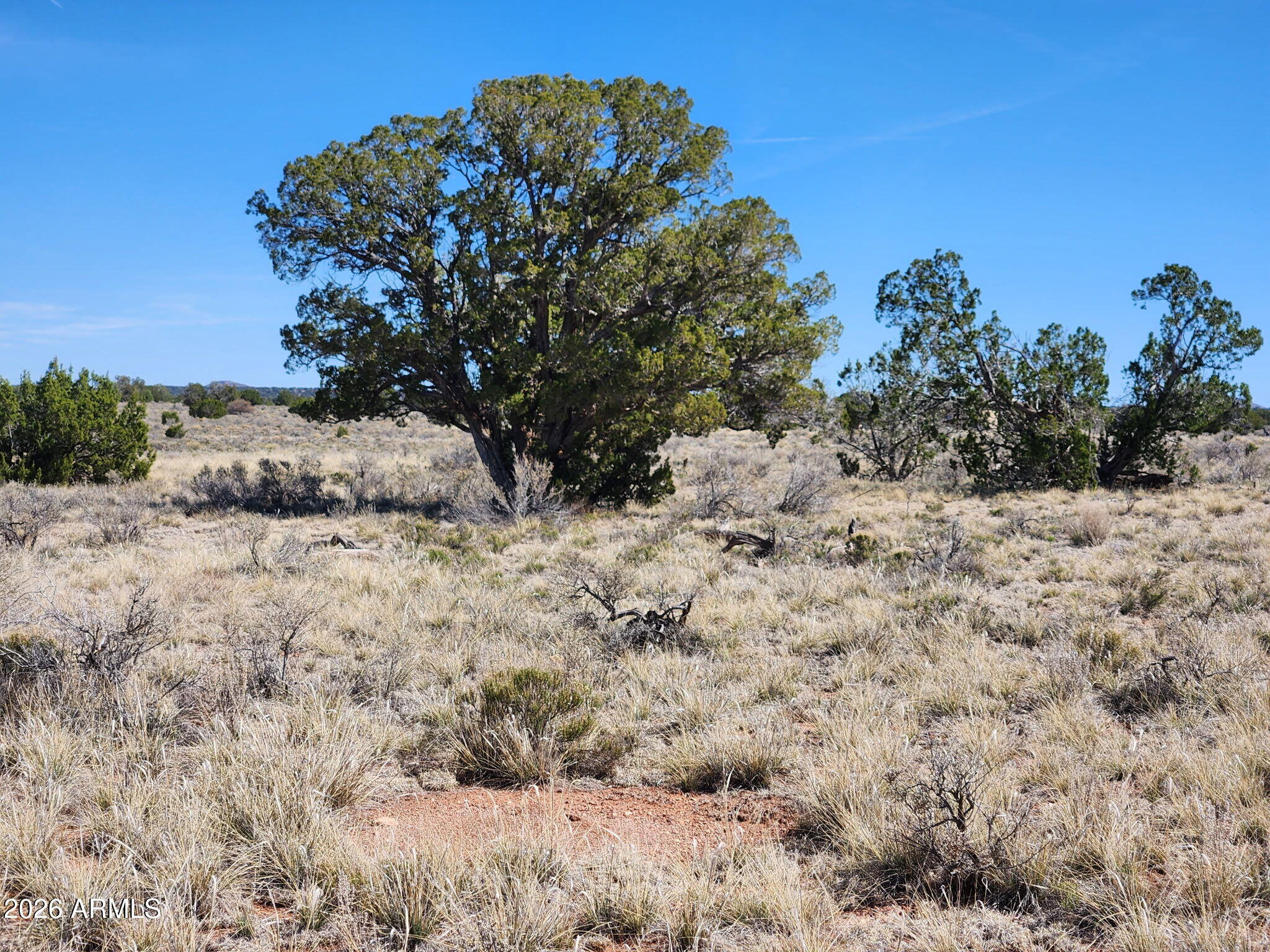 721 S WYANDOTTE Road 243, Williams, AZ 86046