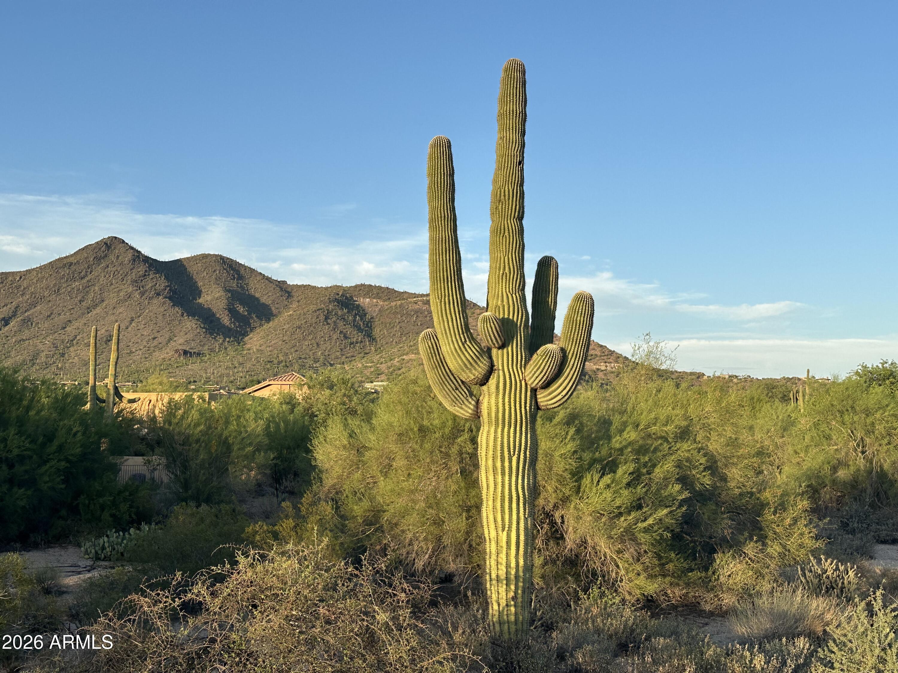 33000 N CAVE CREEK Road -, Cave Creek, AZ 85331
