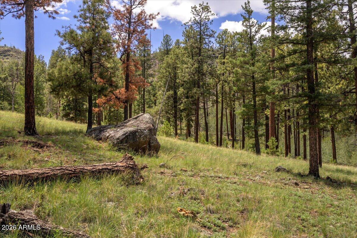 14 COUNTY ROAD N1062 15, Greer, AZ 85927