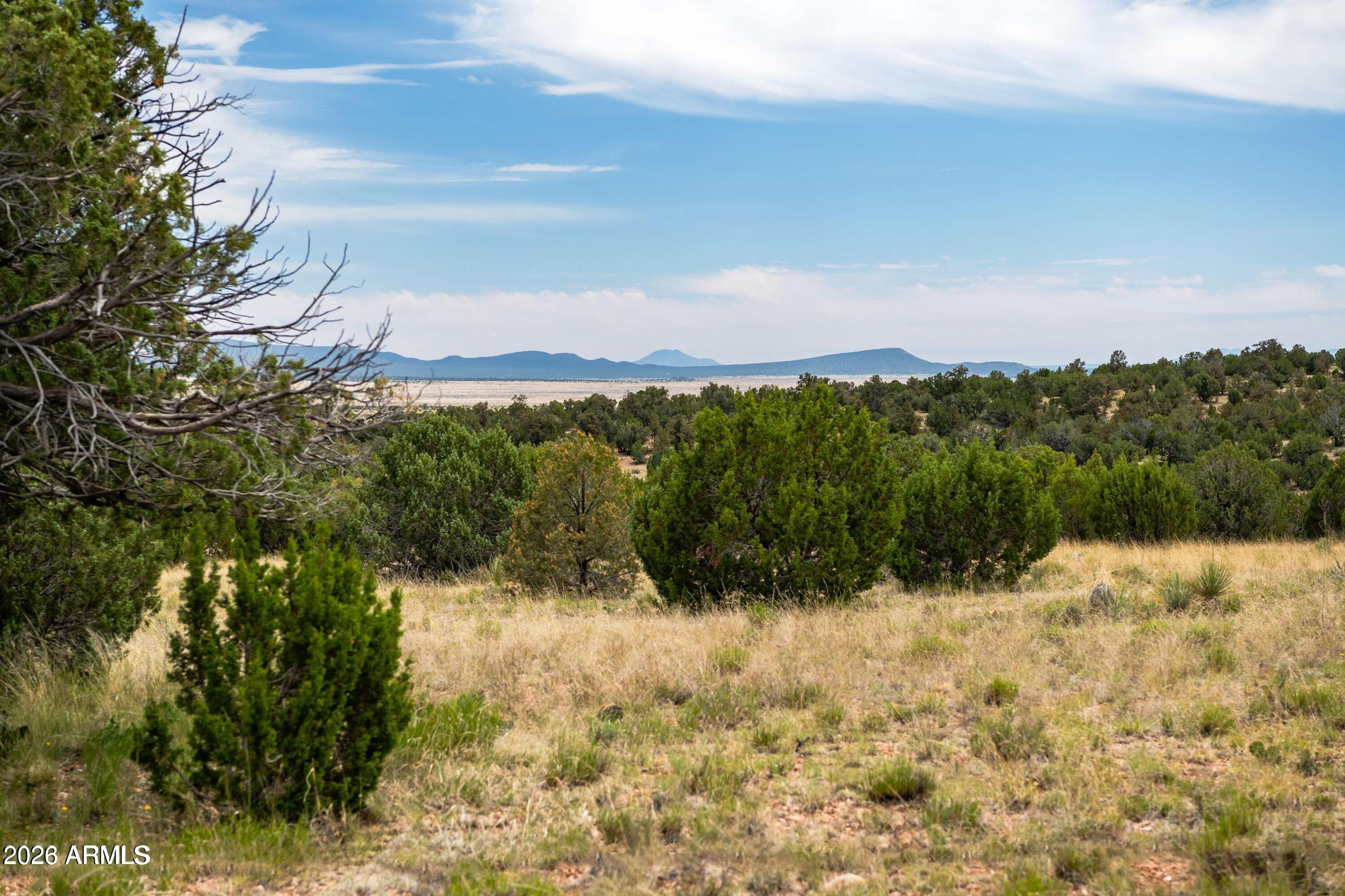 000-B Pine Ridge Trail Rd 50, Seligman, AZ 86337