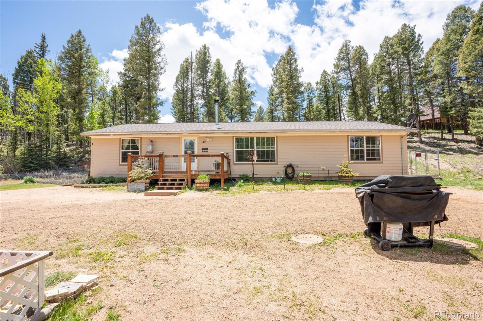 44 Silver Trail, Florissant, CO 80816