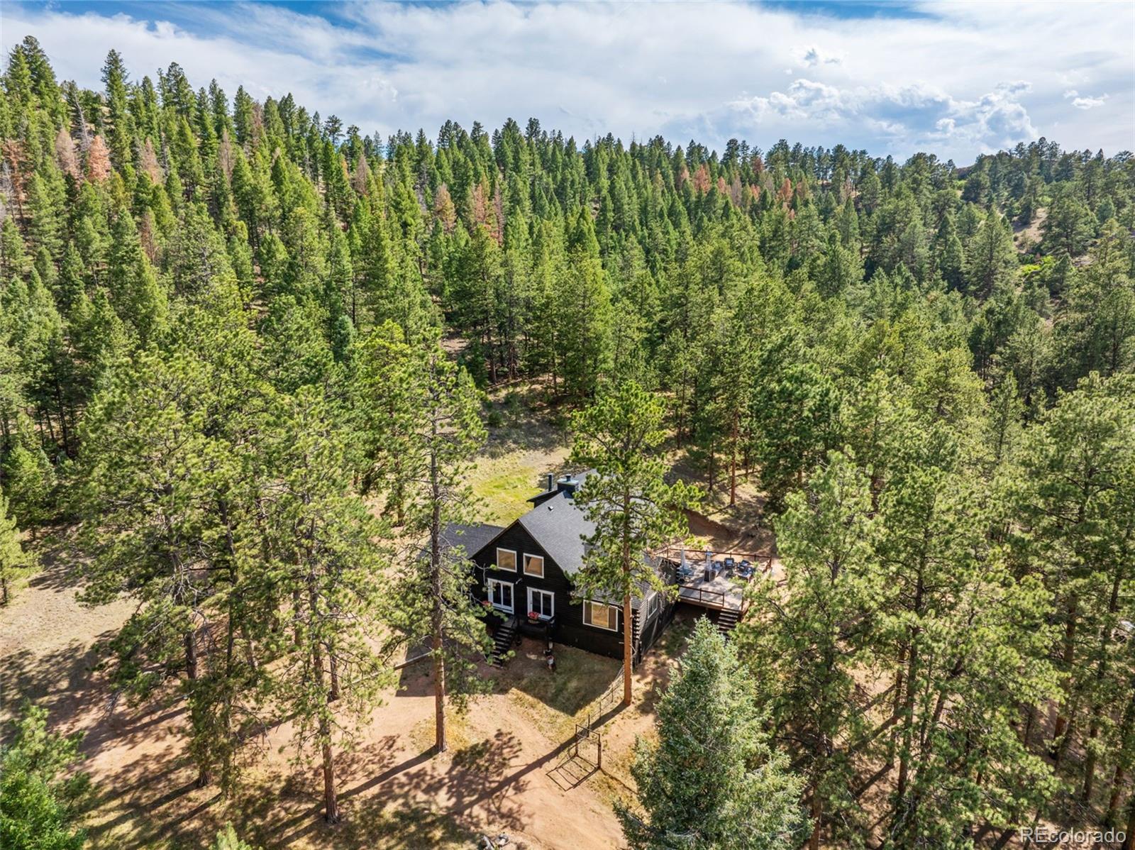 986 Apache Road, Florissant, CO 80816