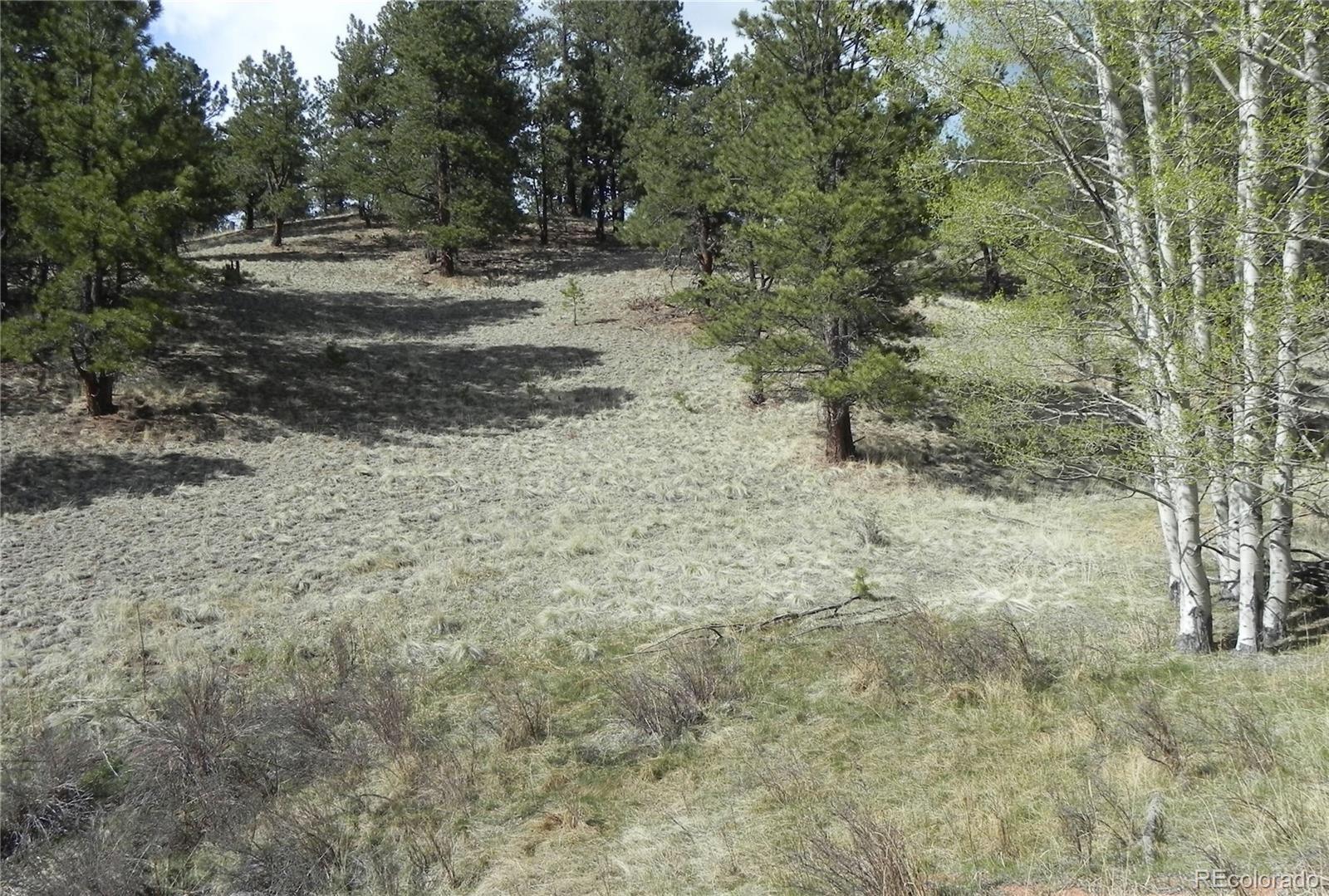 1699 Monarch Drive, Cripple Creek, CO 80813