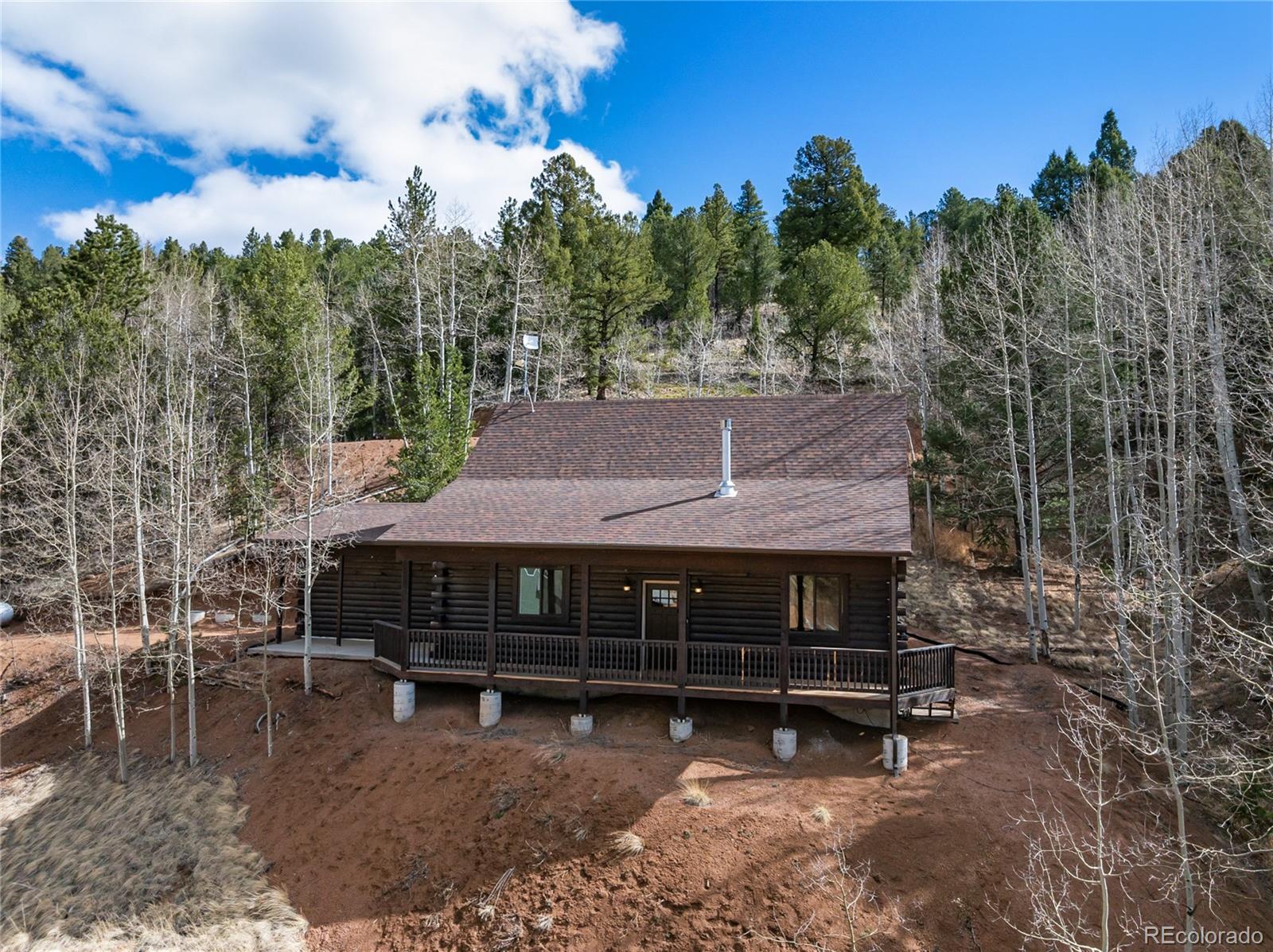 60 Beaver Pond Road, Divide, CO 80814