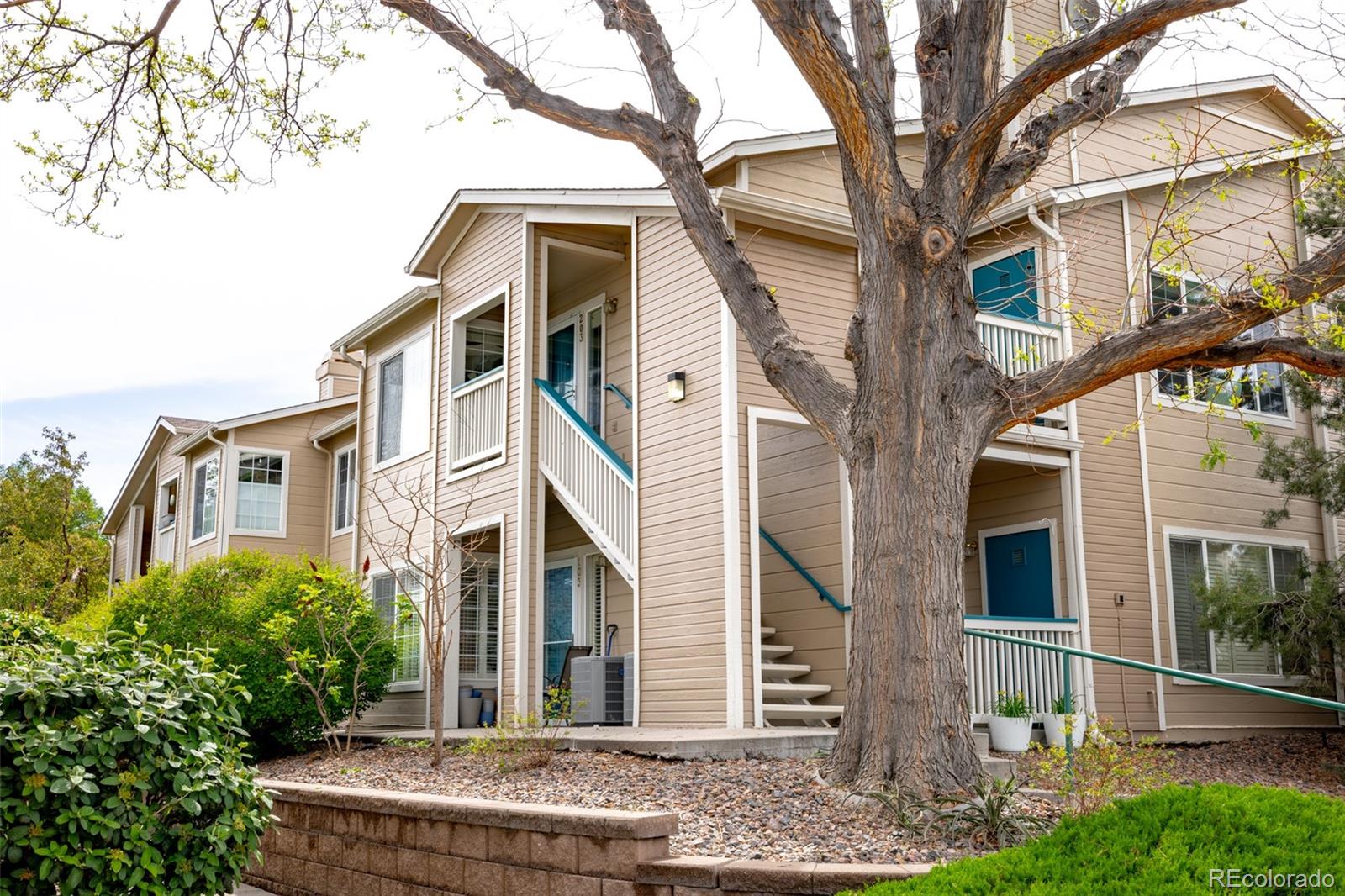 3847 Mossy Rock Drive #203, Highlands Ranch, CO 80126