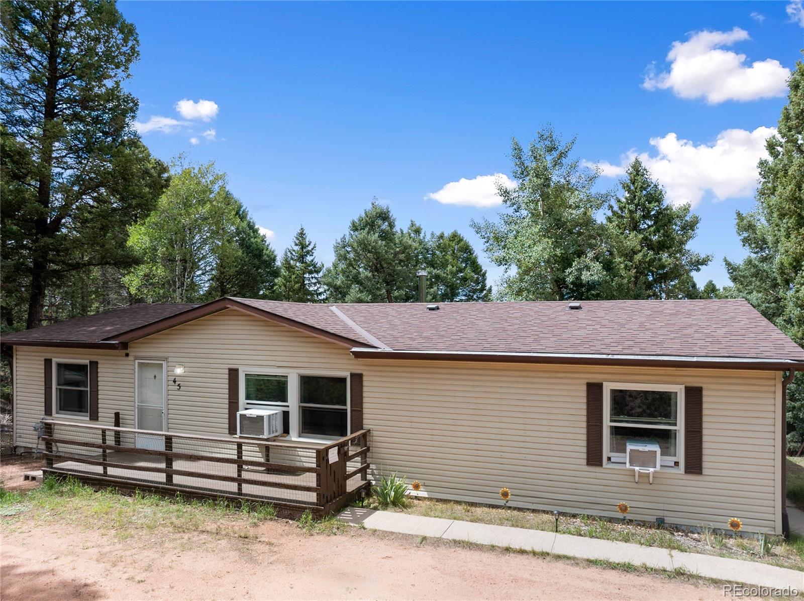 45 La Abu Trail, Florissant, CO 80816