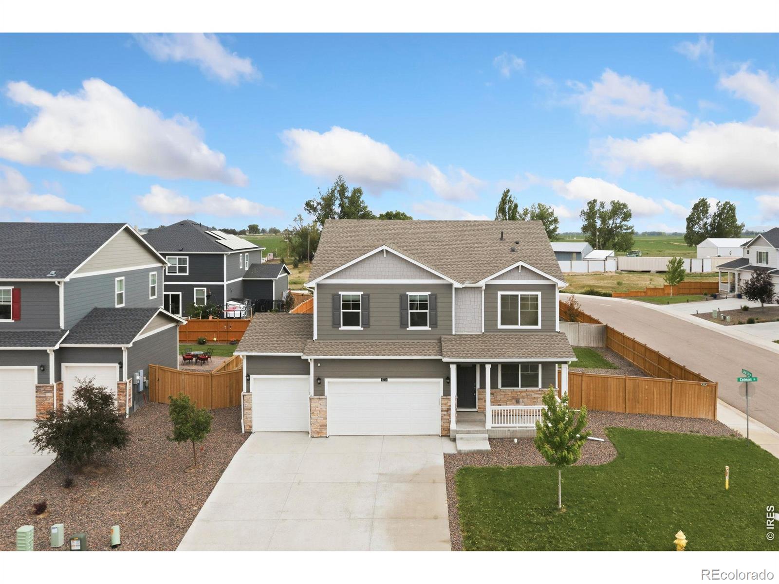3713 Catmint Street, Wellington, CO 80549
