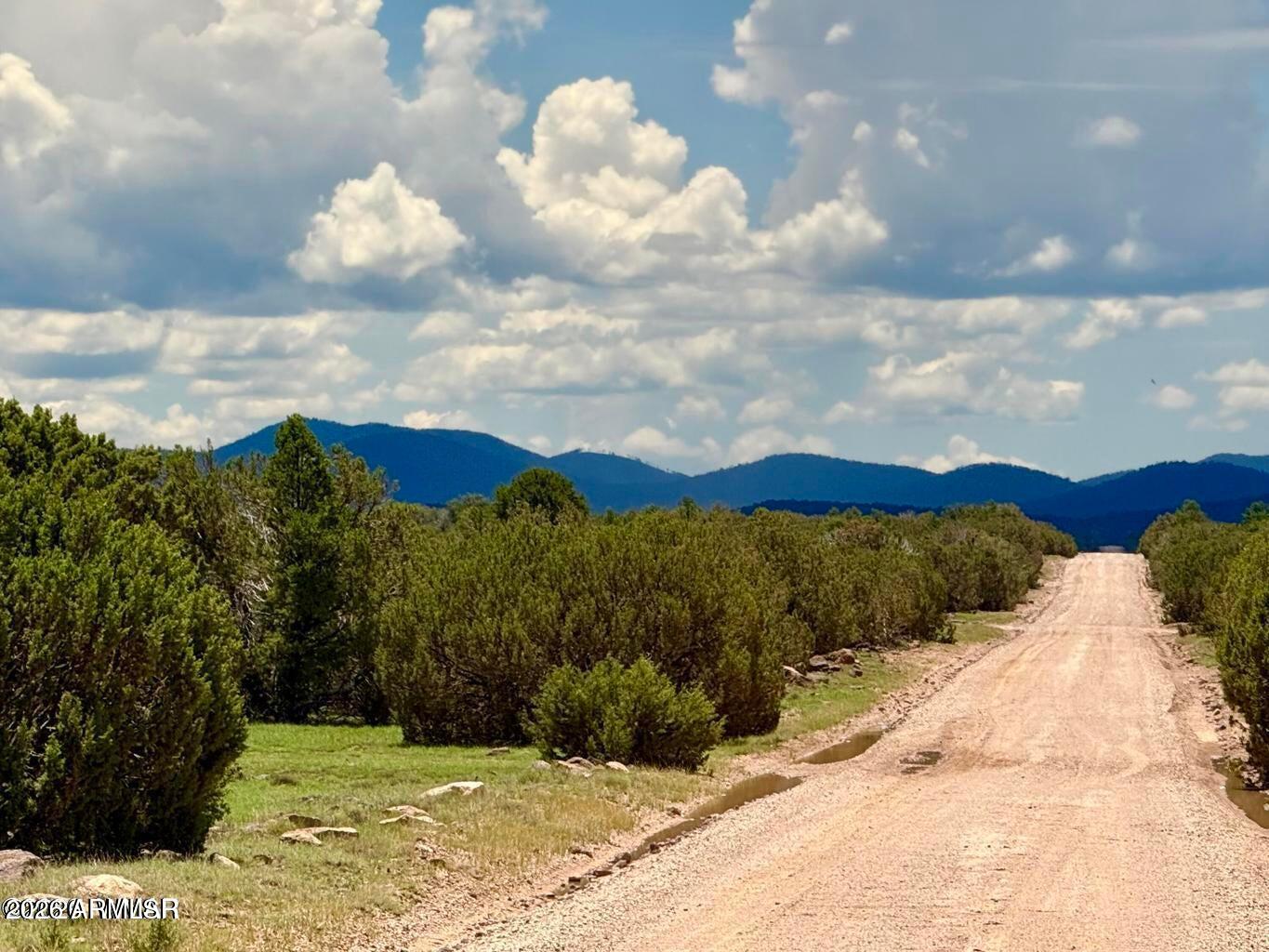 121, 125, 127 & 129 Co Rd 8051 4.14 Acre -- #-, Concho, AZ 85924