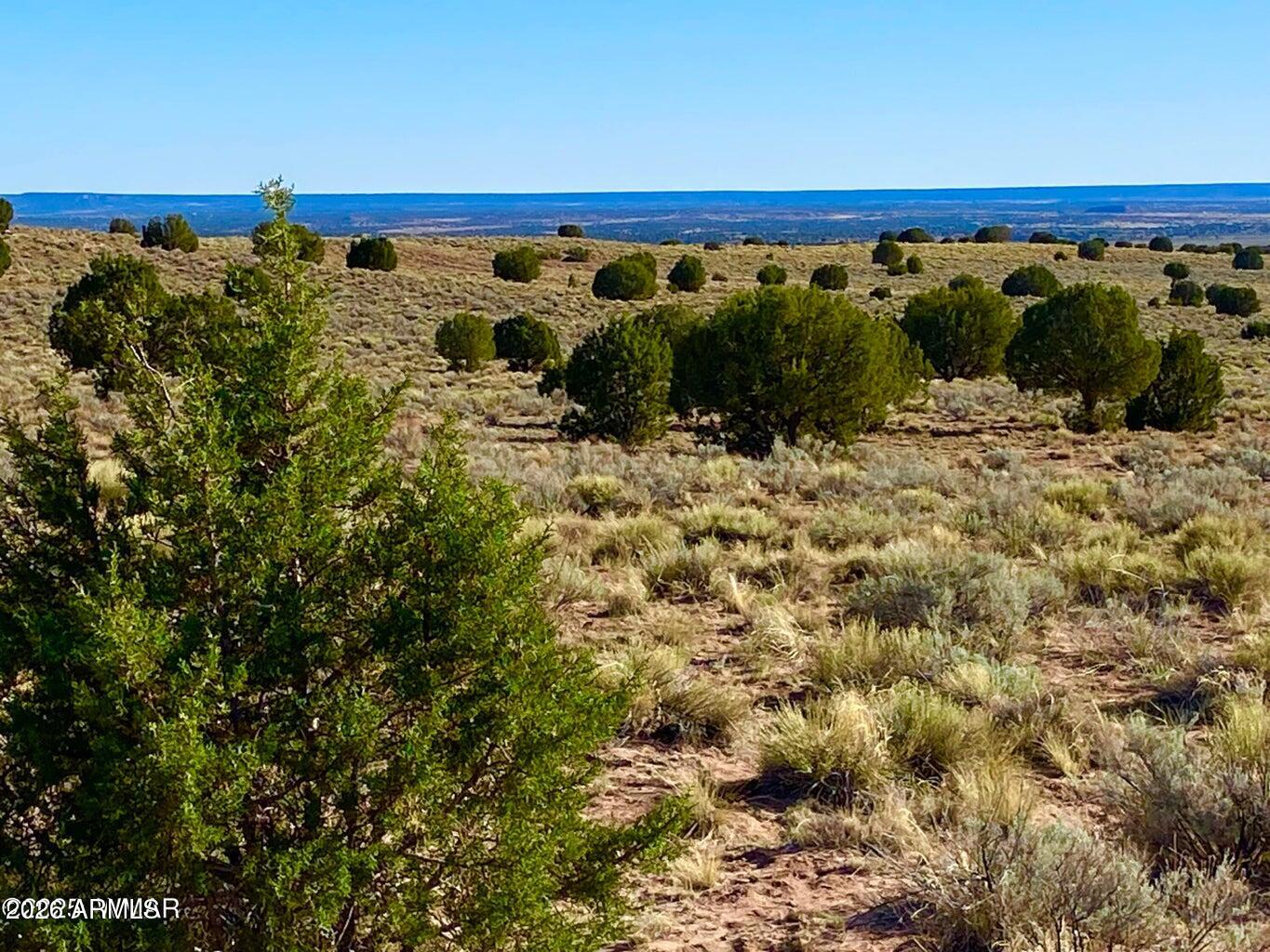 River Meadows Ranch Unit 3 Lot 204 -, Concho, AZ 85924