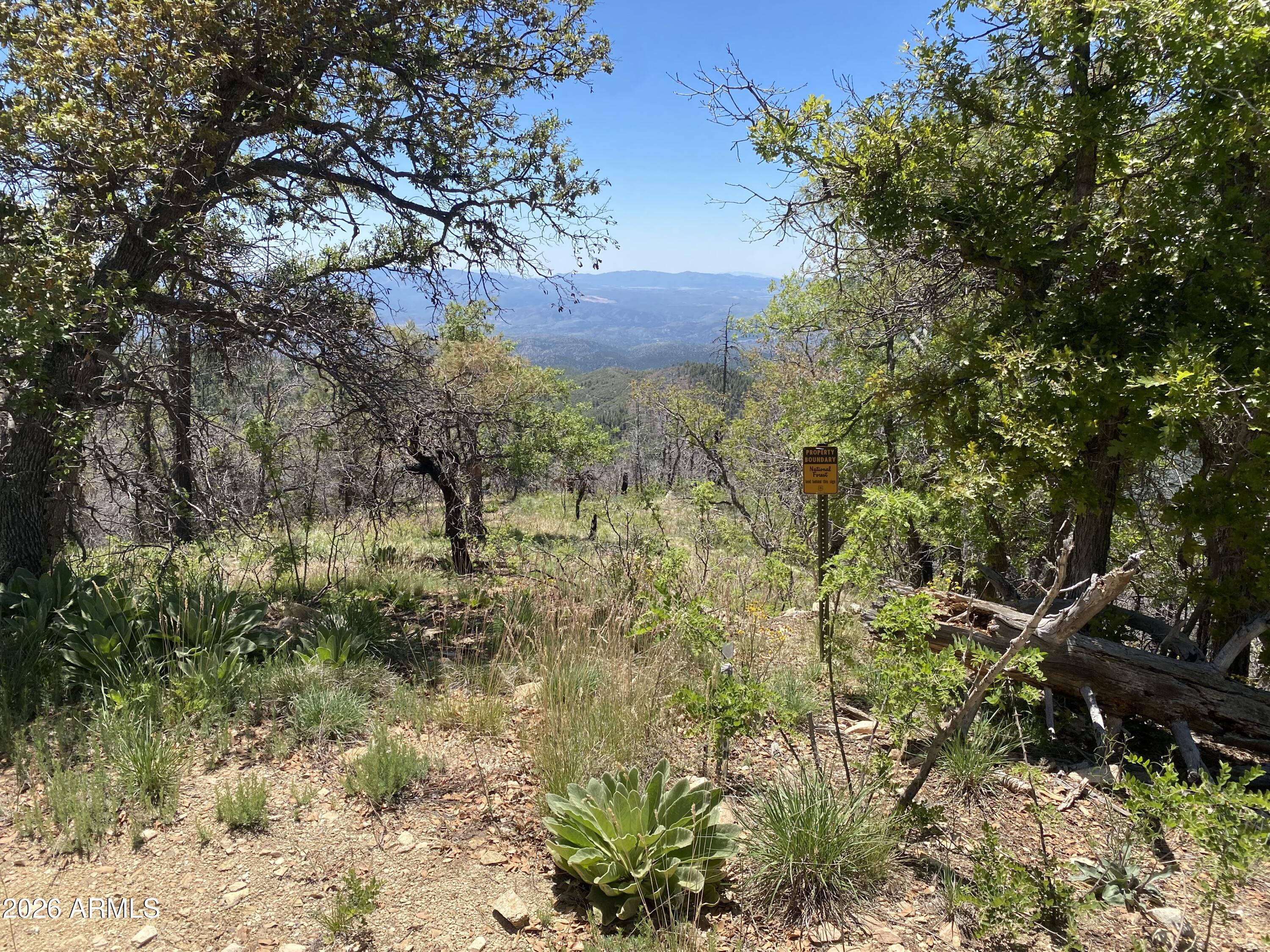 1002 S turkey trot Trail -, Prescott, AZ 86303