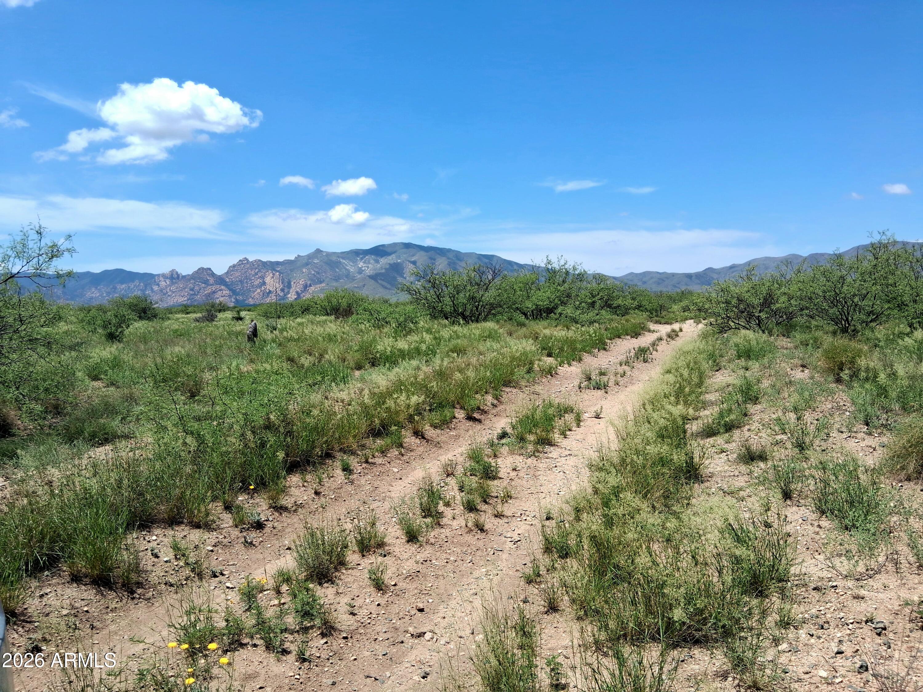 LOT 10 Oracle 10, Cochise, AZ 85606
