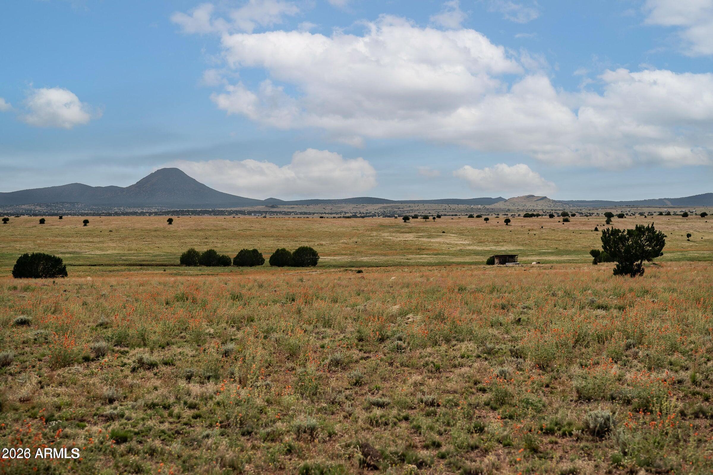 B1 Kirby Ln 50, Ash Fork, AZ 86320