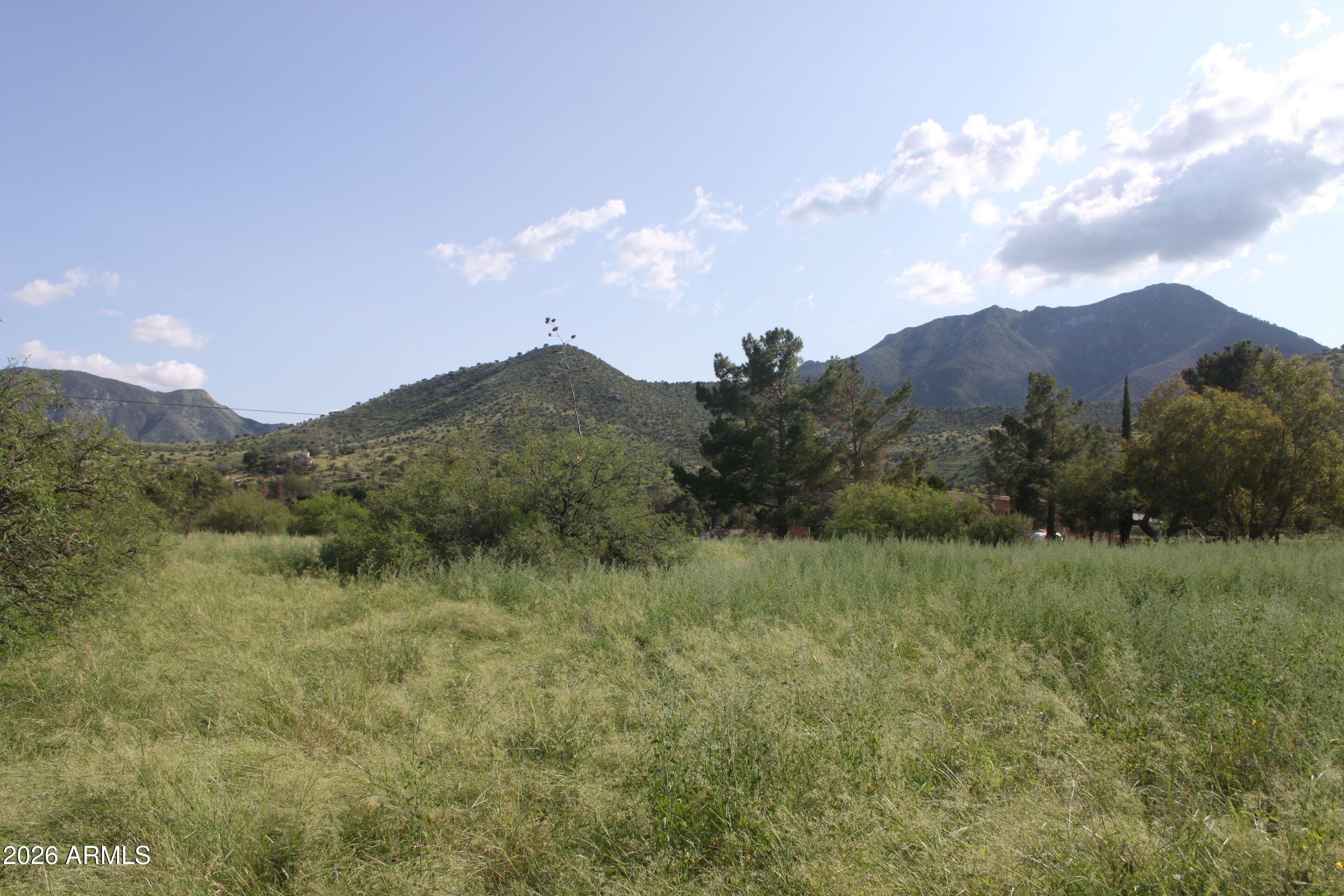 .031 E Wickersham Road 21, Hereford, AZ 85615