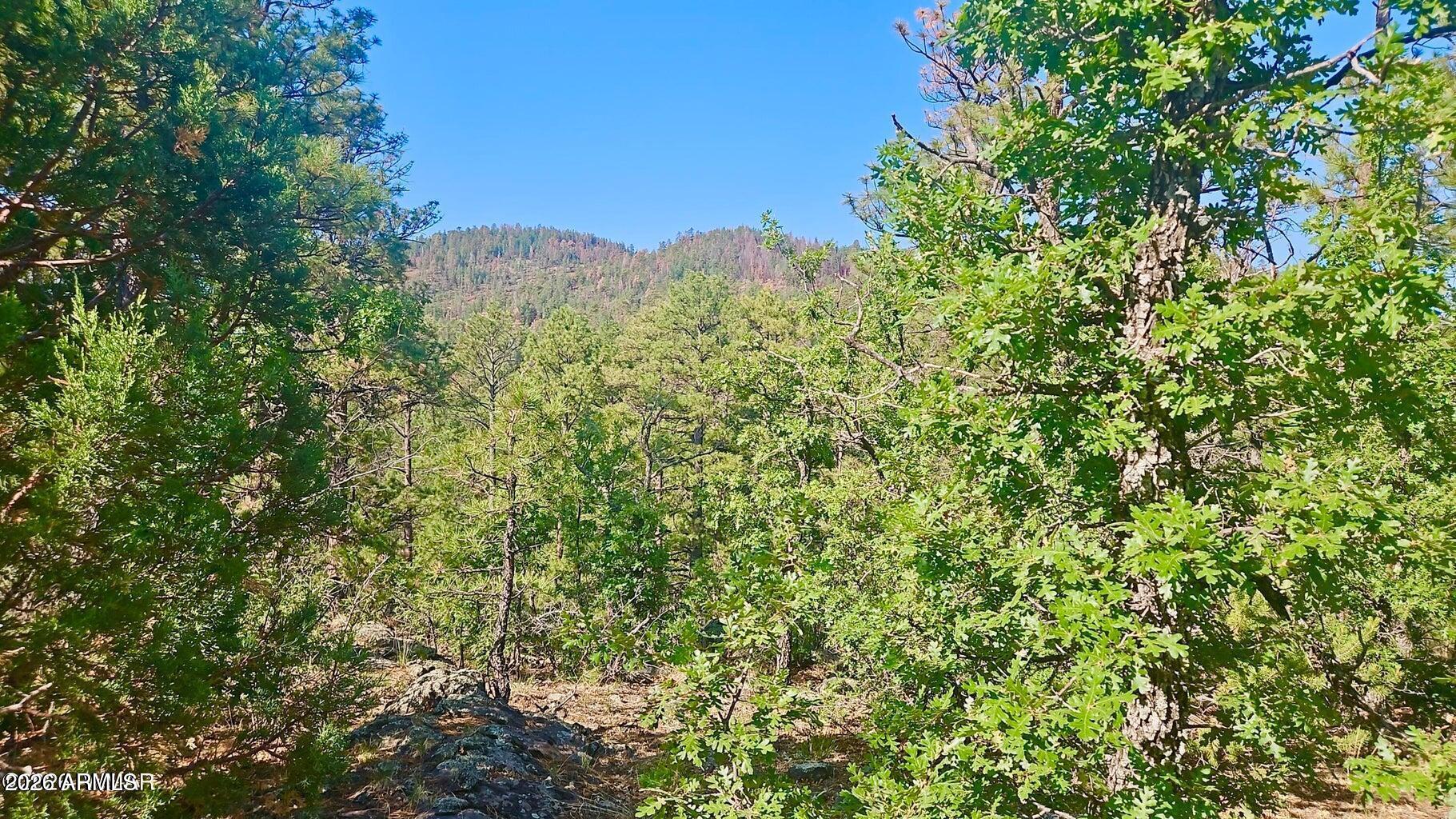 29 Co Rd 3199 -, Vernon, AZ 85940
