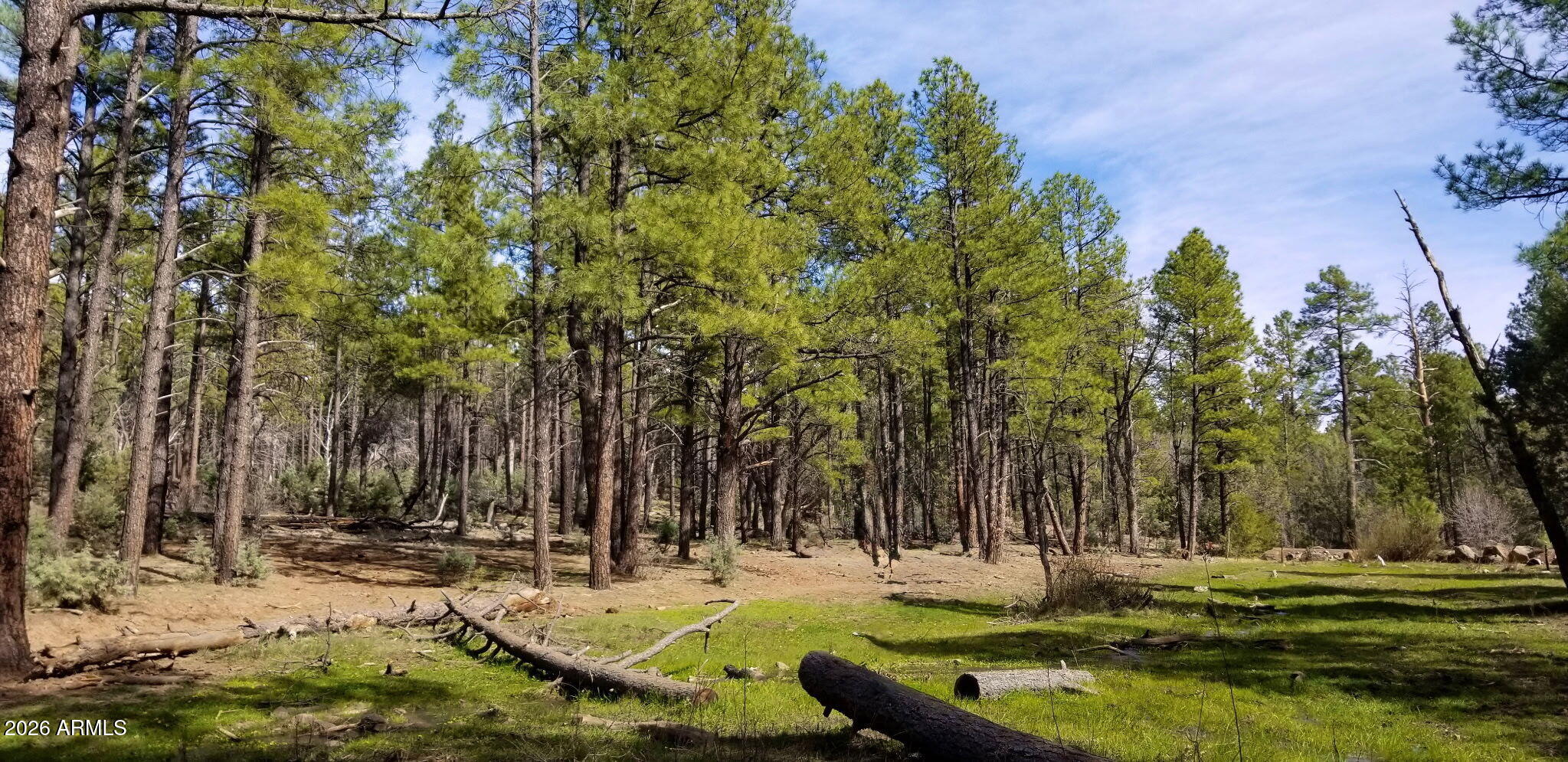2259 E T BEAR Trail '-', Lakeside, AZ 85929