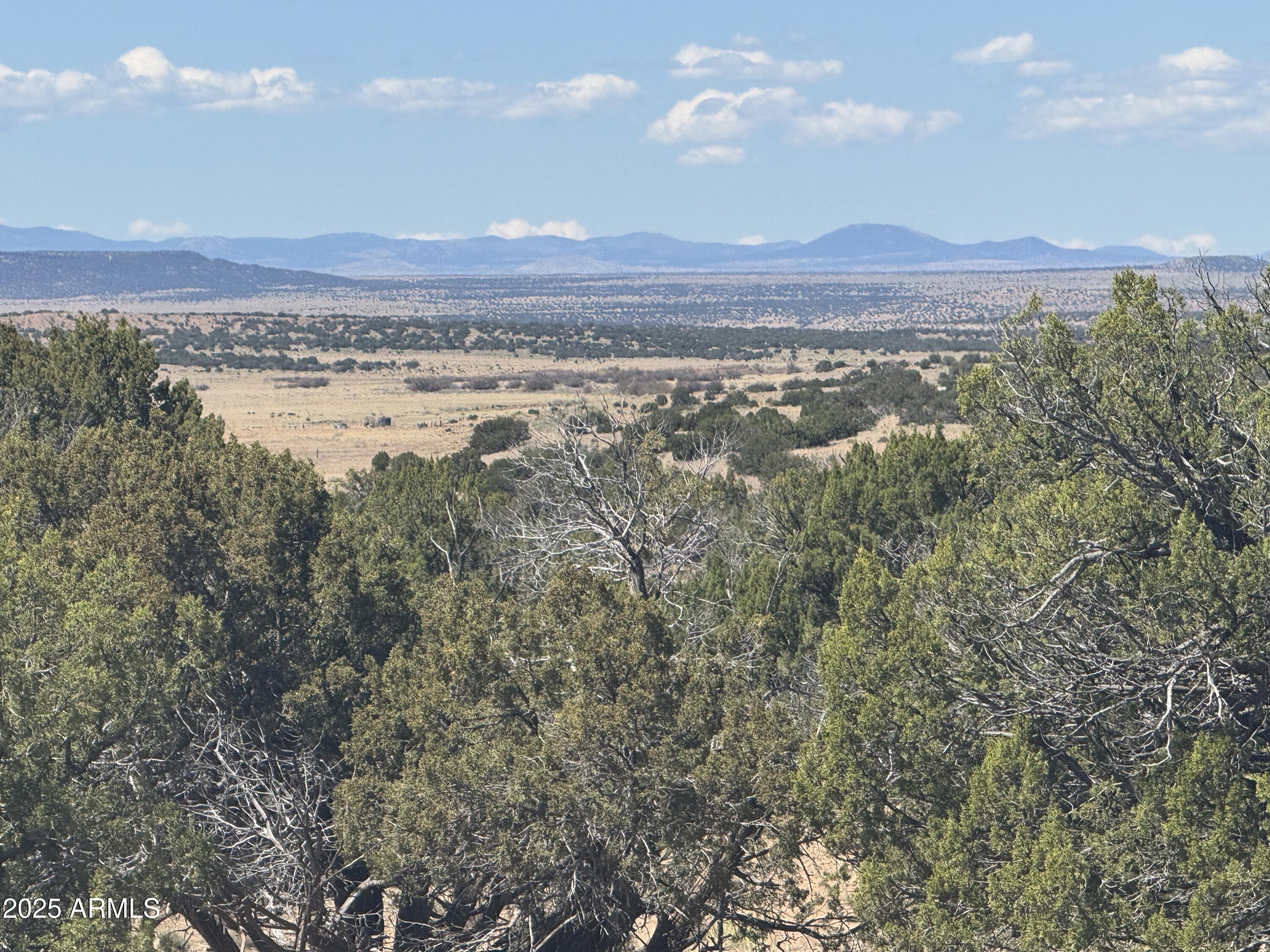 Lot 752 Woodland Valley Ranch 752, St Johns, AZ 85936