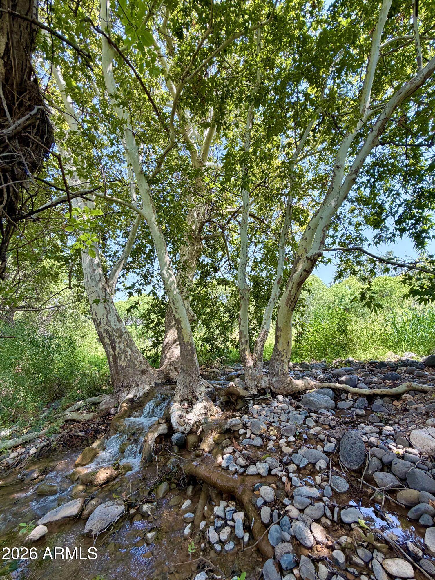 3080/3070 E RIMROCK Drive 9/10, Rimrock, AZ 86335