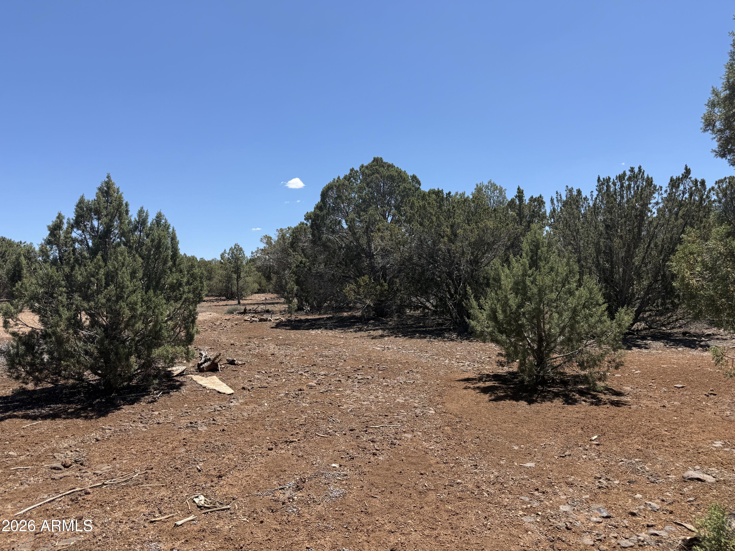1886 White Tail Place 13-14, Show Low, AZ 85901
