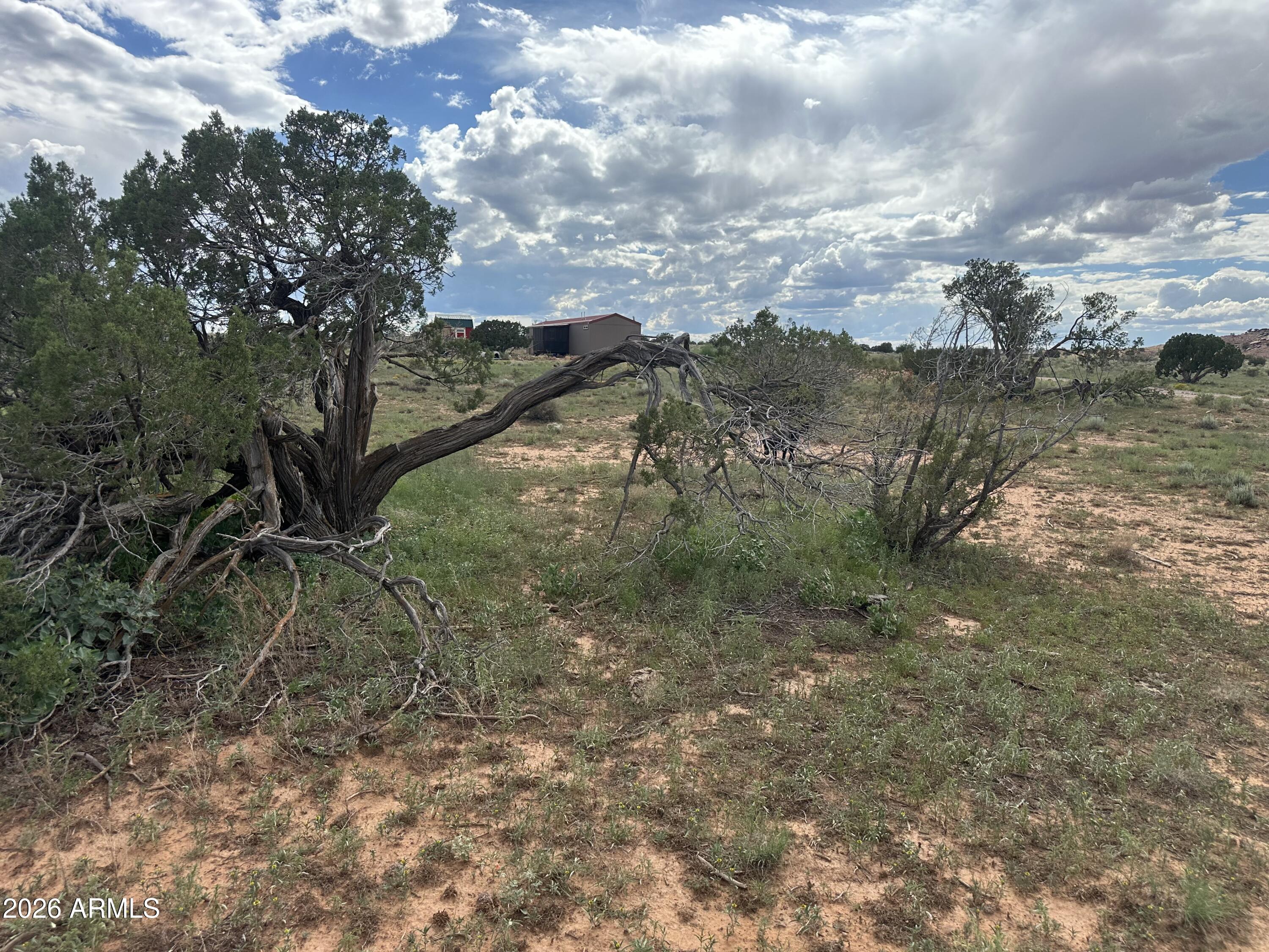 1771 W RIDGEVIEW RANCH Drive, Snowflake, AZ 85937