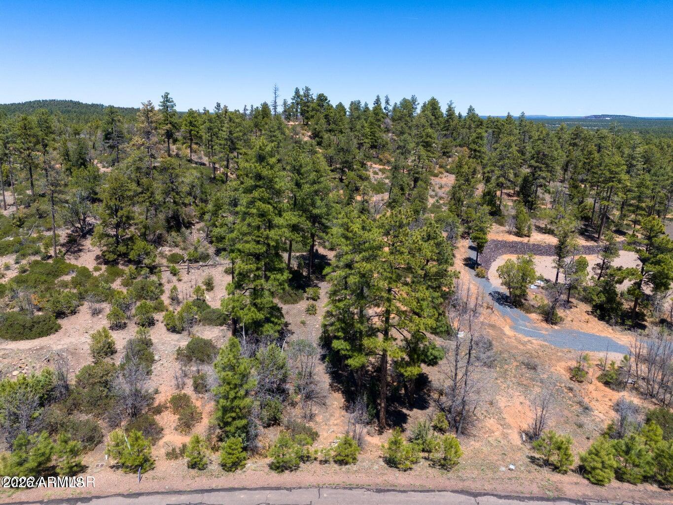 6007 Rim Road 066, Lakeside, AZ 85929