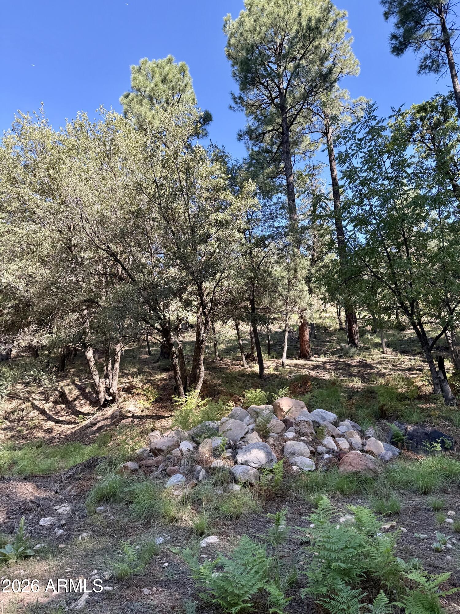 165 W BURNT POINT Trail 1, Payson, AZ 85541