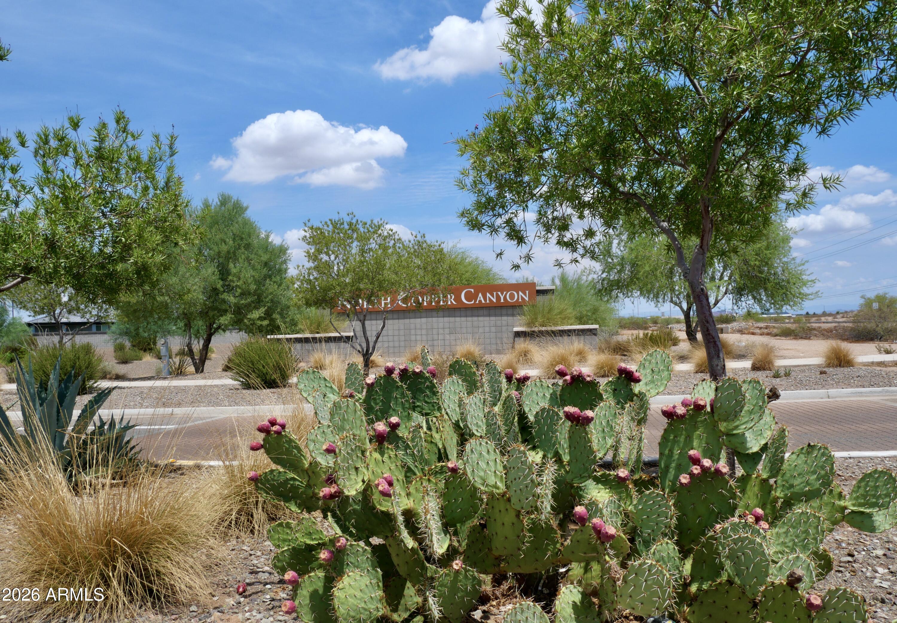 17639 W COUNTRY CLUB Terrace, Surprise, AZ 85387