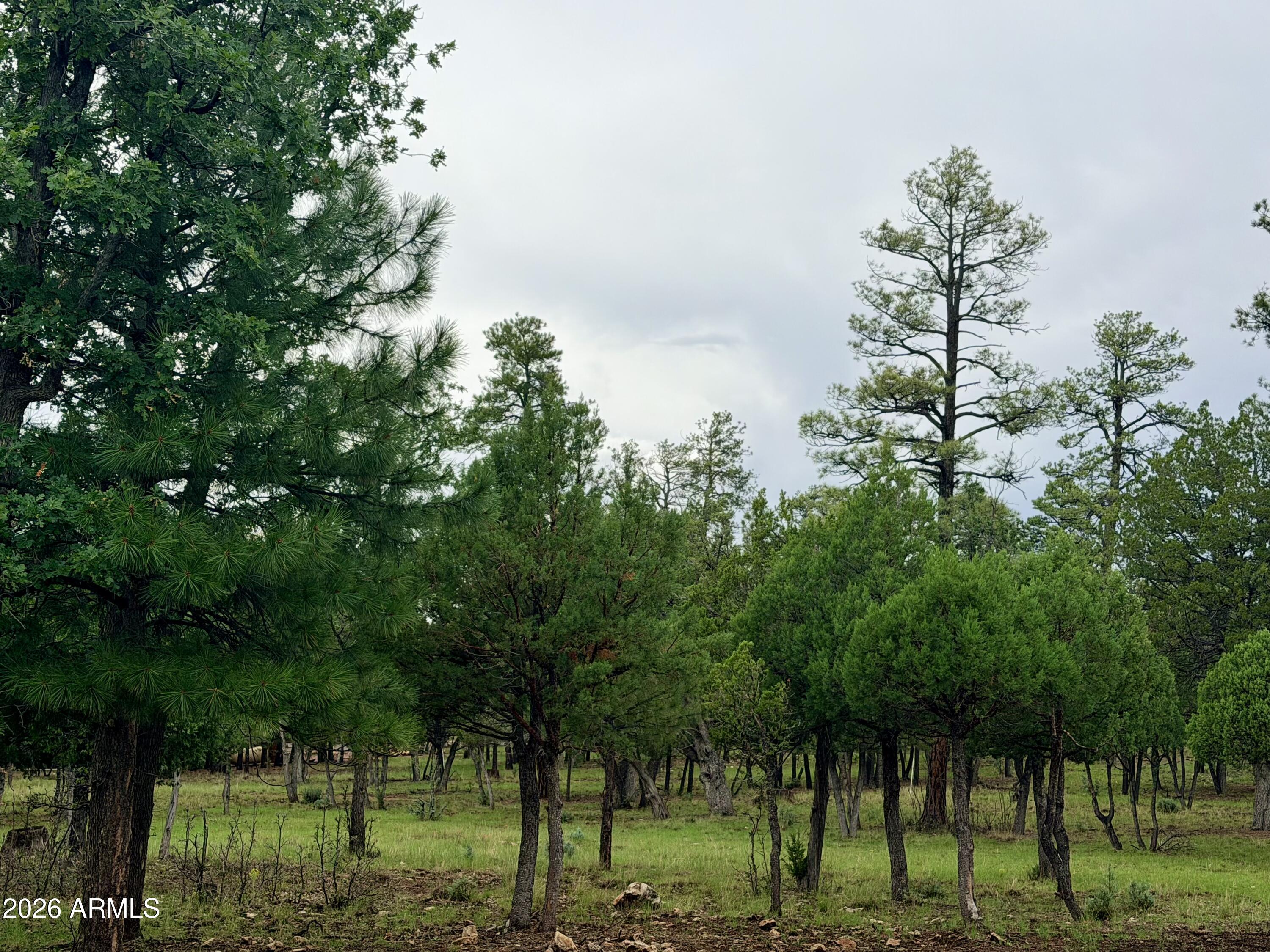 4517 DURANGO Drive 374, Happy Jack, AZ 86024