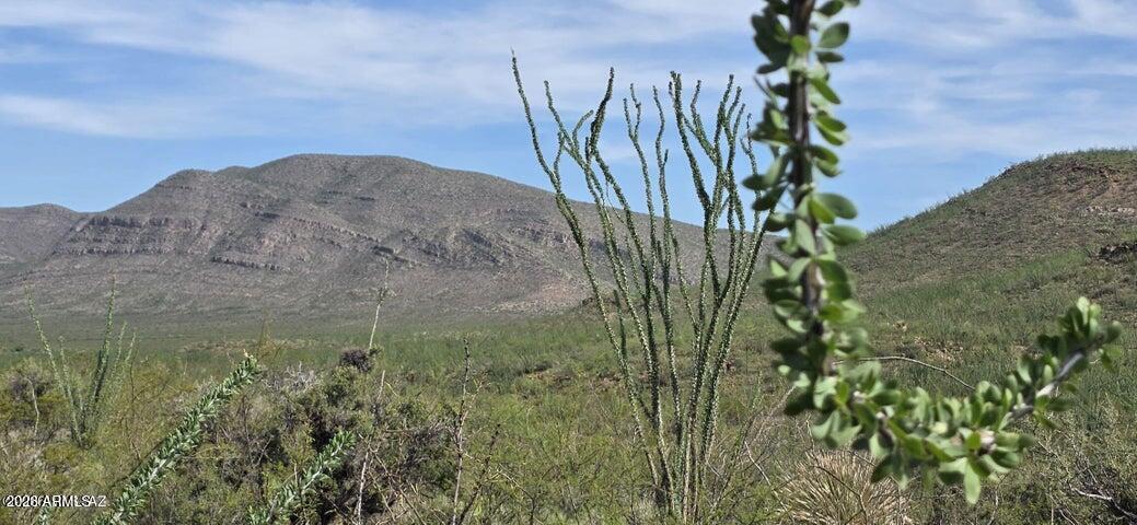 TBD E Windmill Road -, Tombstone, AZ 85638