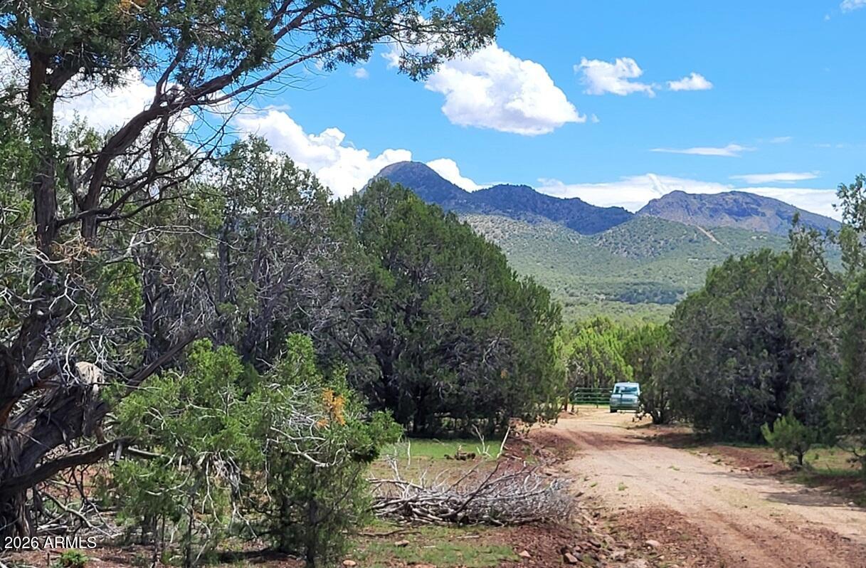 13664 Round Mountain Expressway, Williams, AZ 86046