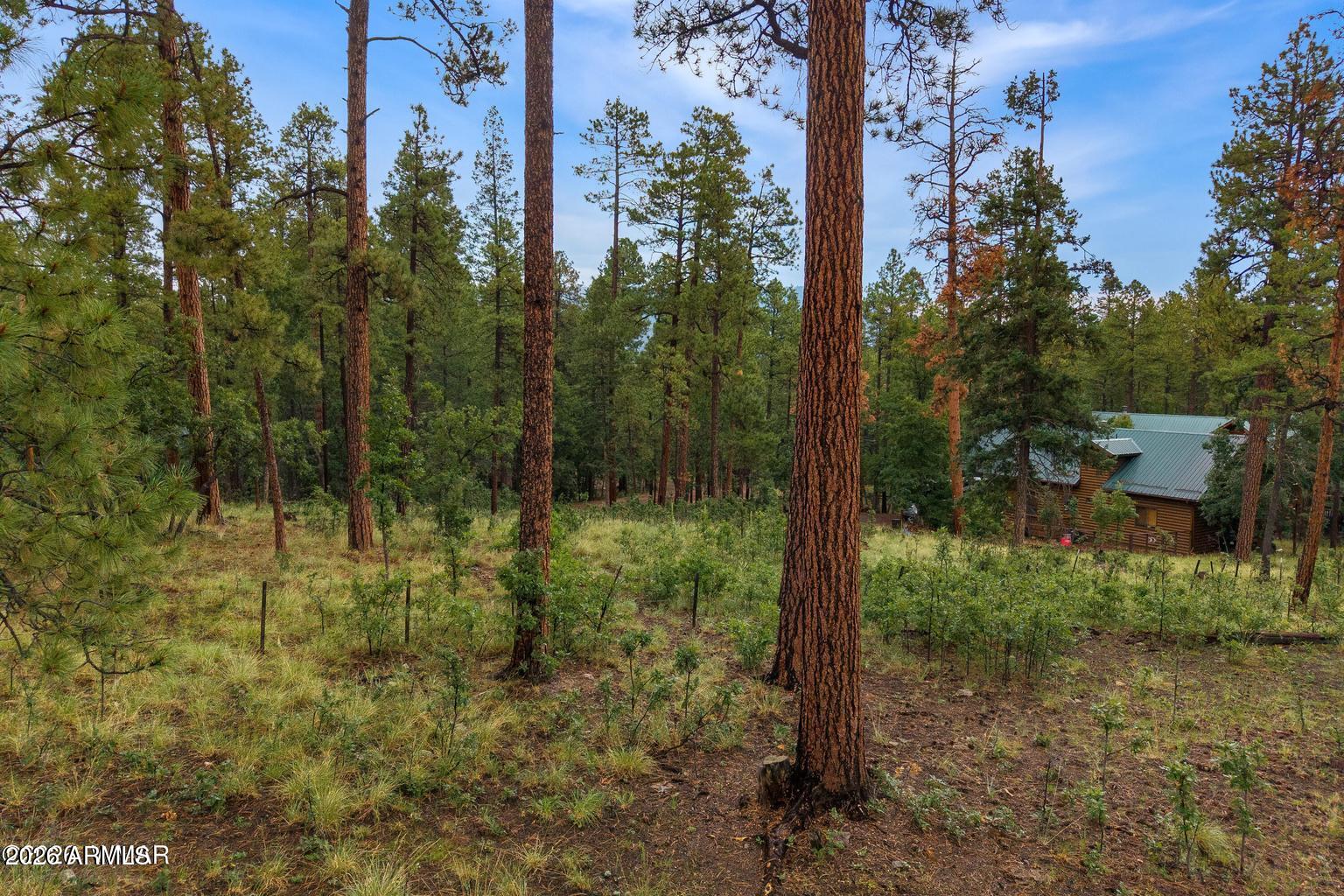 8 COUNTY ROAD 2070 137, Alpine, AZ 85920