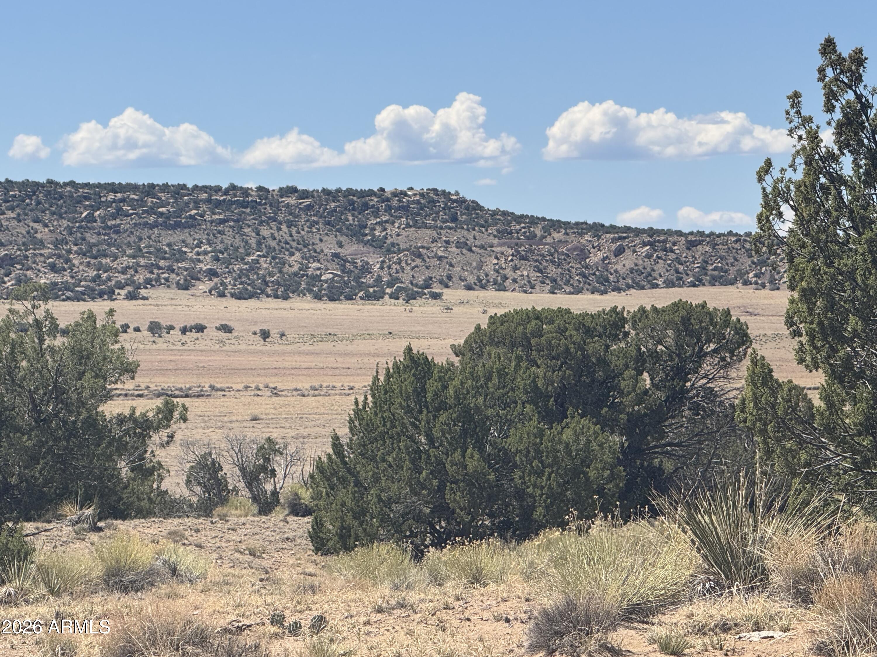 Lot 753 Woodland Valley Ranch 753, St Johns, AZ 85936