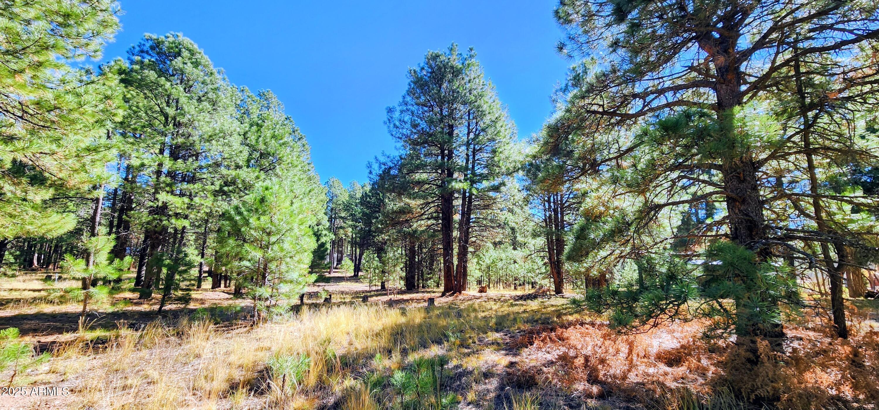 1958 FERRET Circle 260, Forest Lakes, AZ 85931