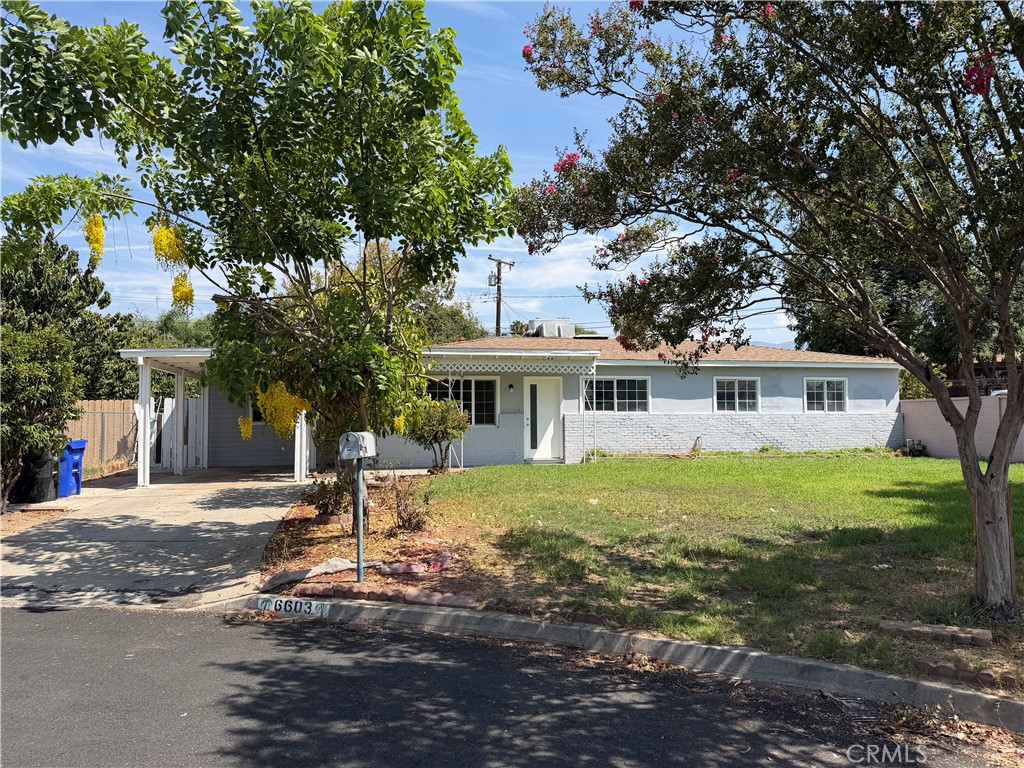 6603 Mitad Court