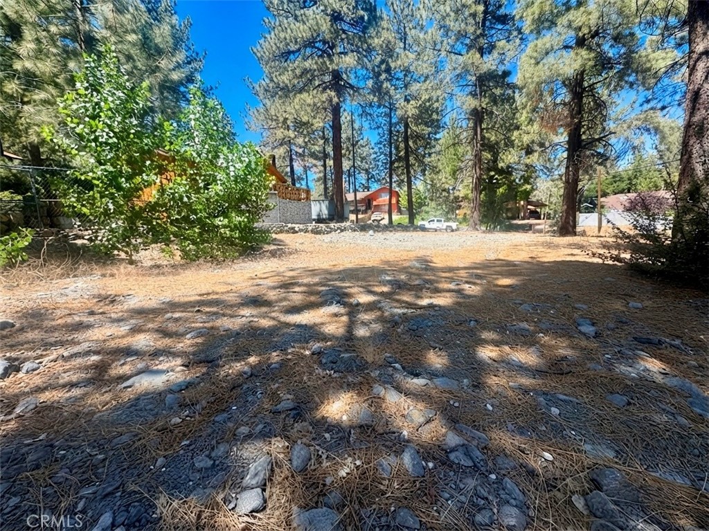 5357 Orchard