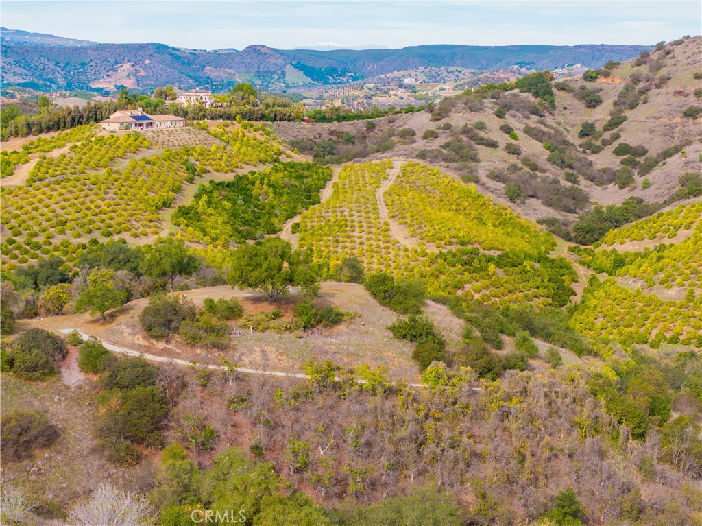 46121 Avenida Tierra