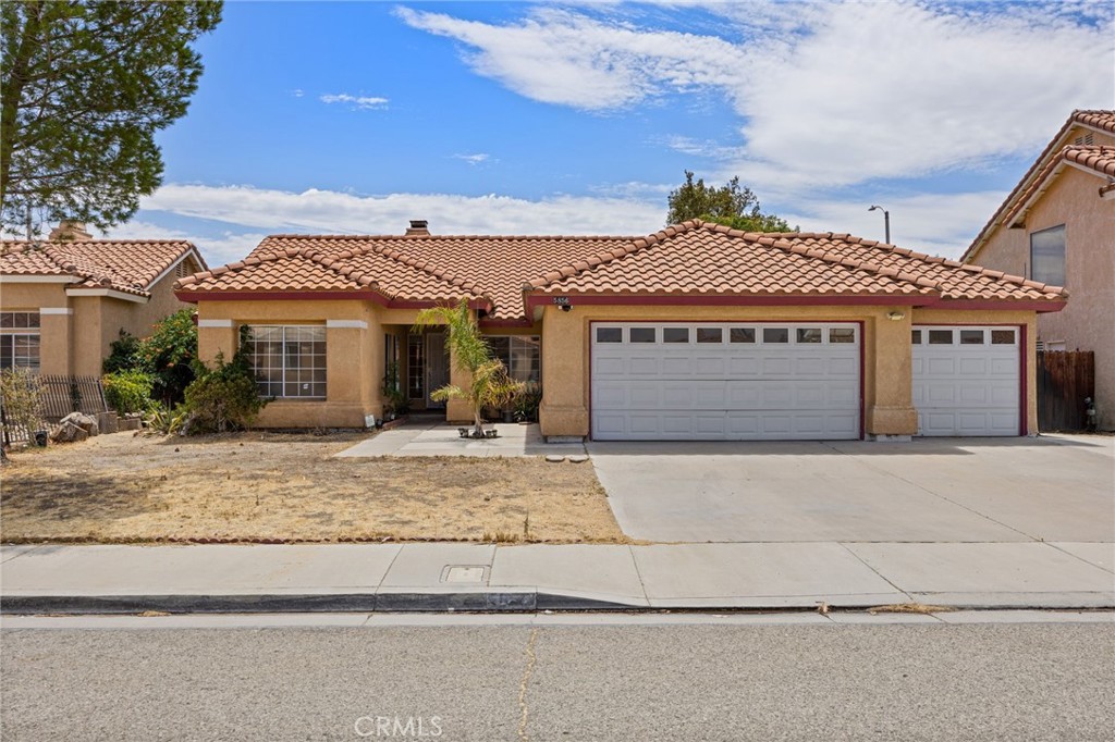 5856 Blue Sage