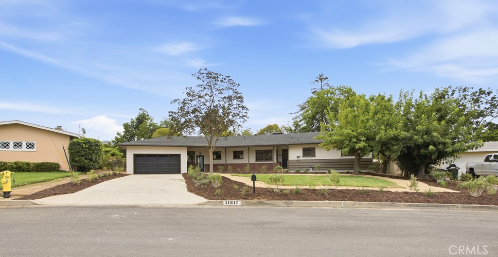 11817 Peach Tree Circle