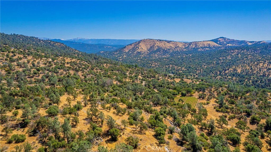 49610 House Ranch