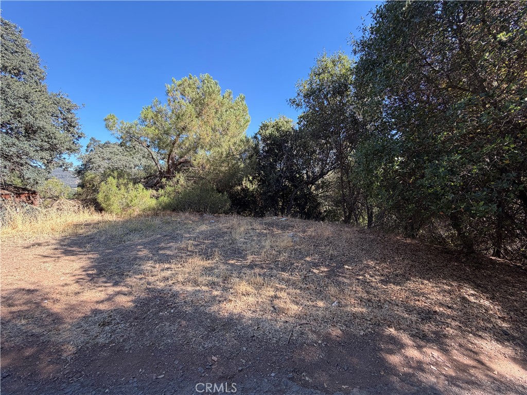 12409 Lakeview Dr