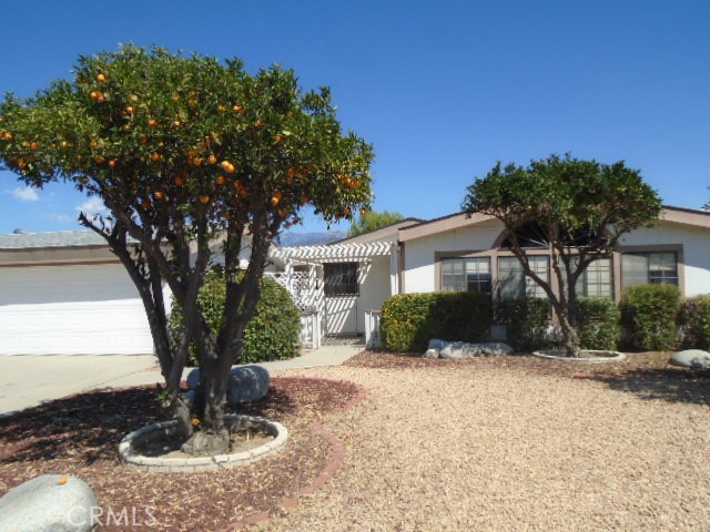 25152 Omni Drive
