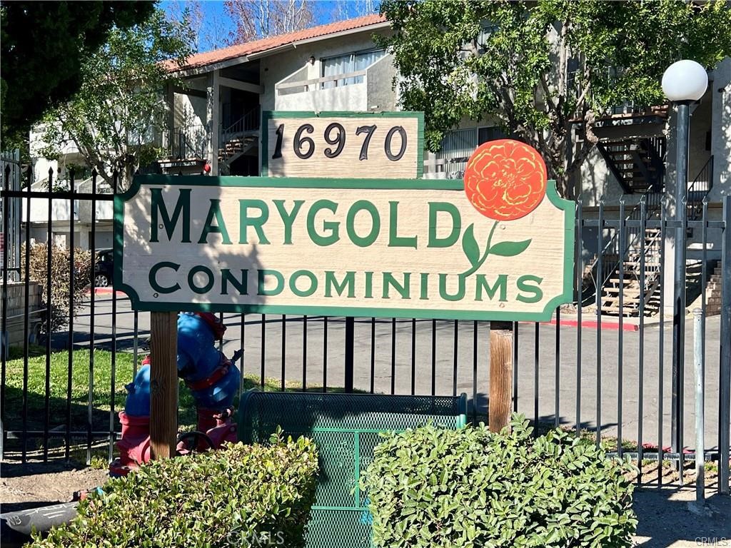 16970 Marygold 1