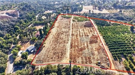 982 Live Oak Park Road